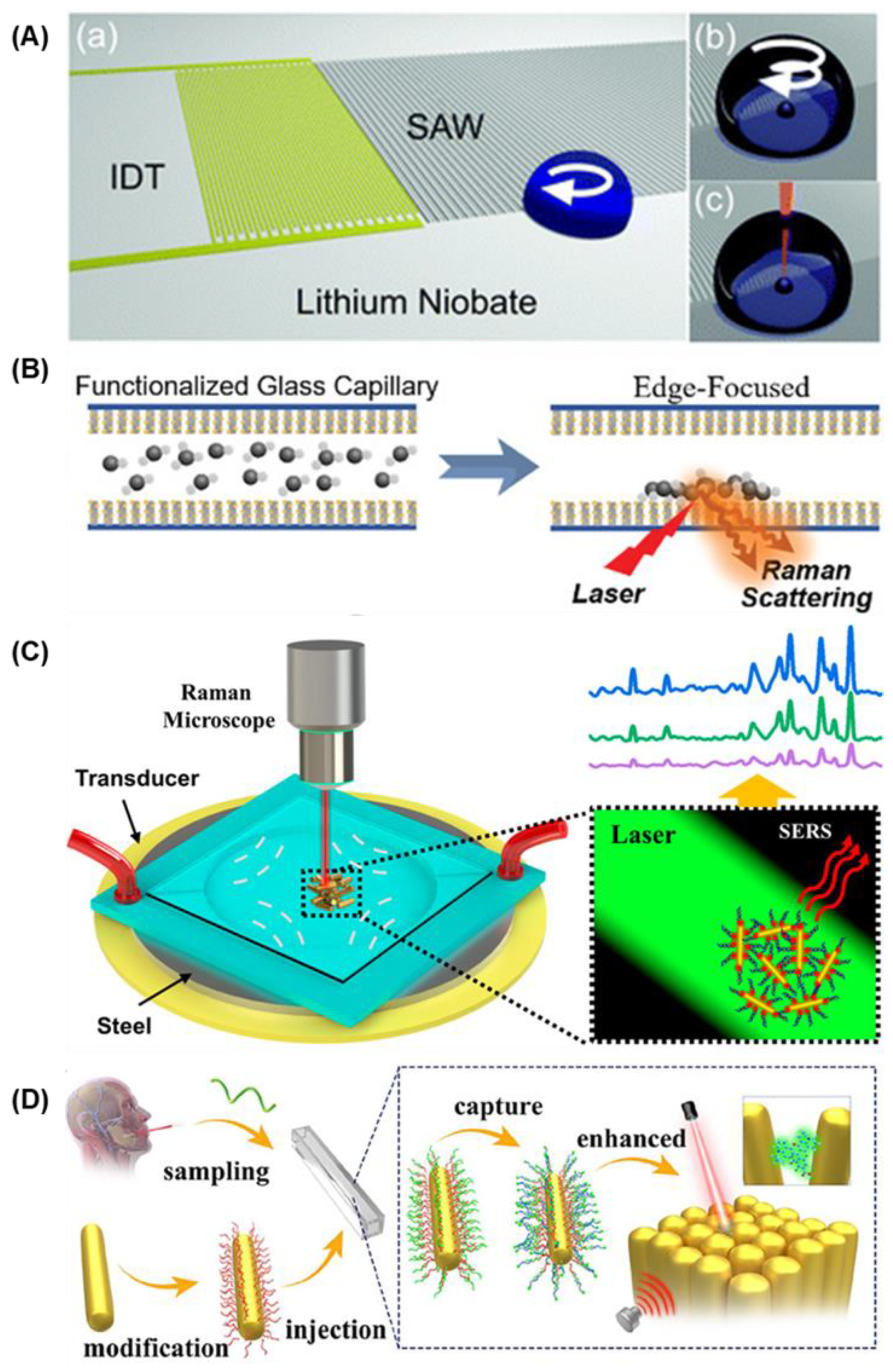 Biosensors 15 00115 g007
