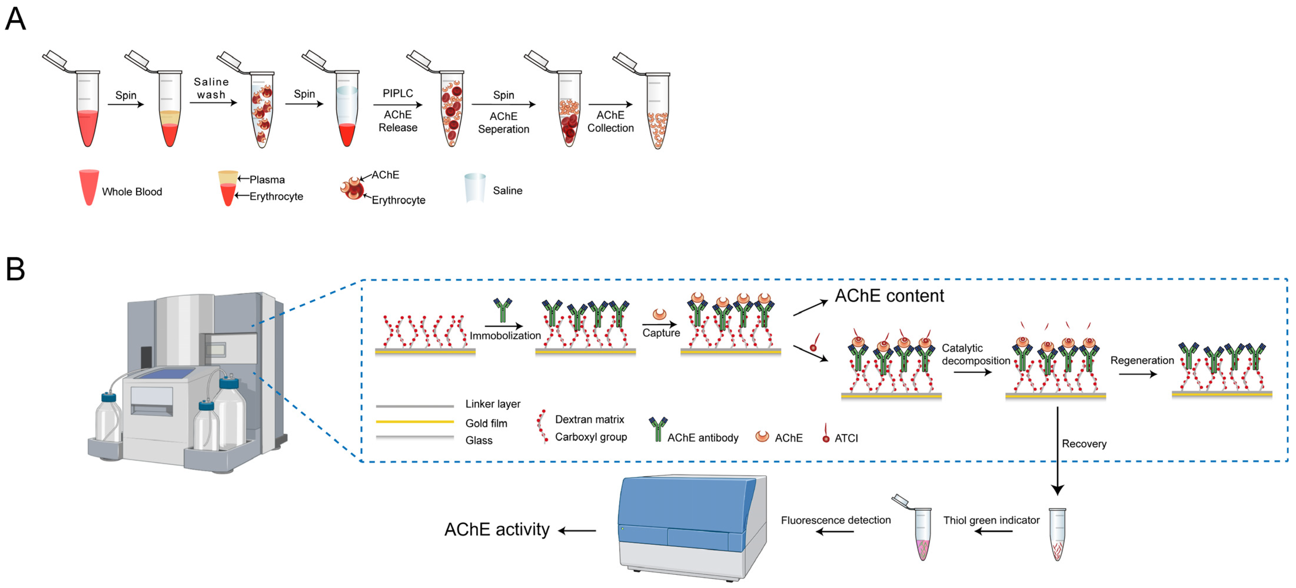 Biosensors 15 00118 g001
