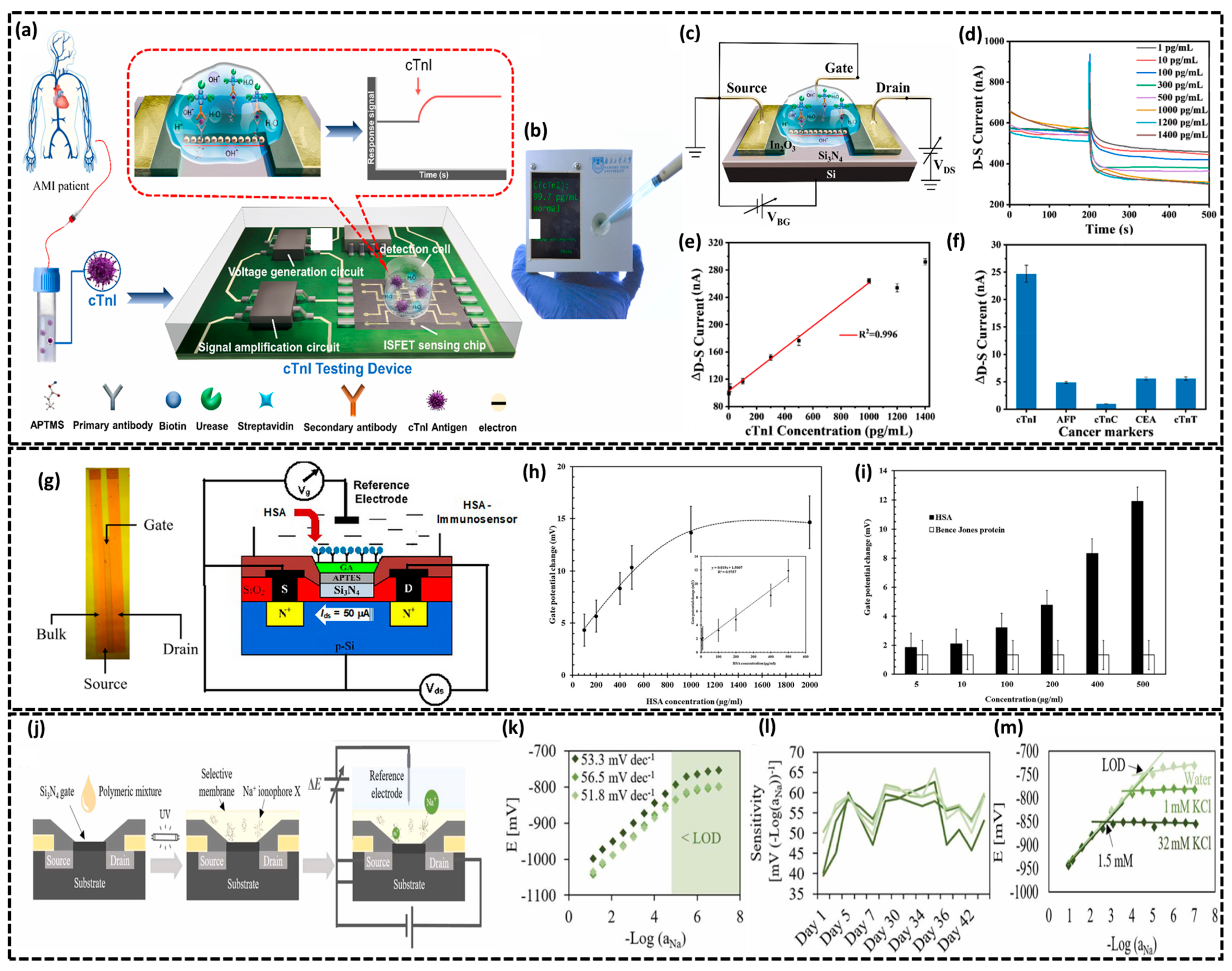 Biosensors 15 00119 g003