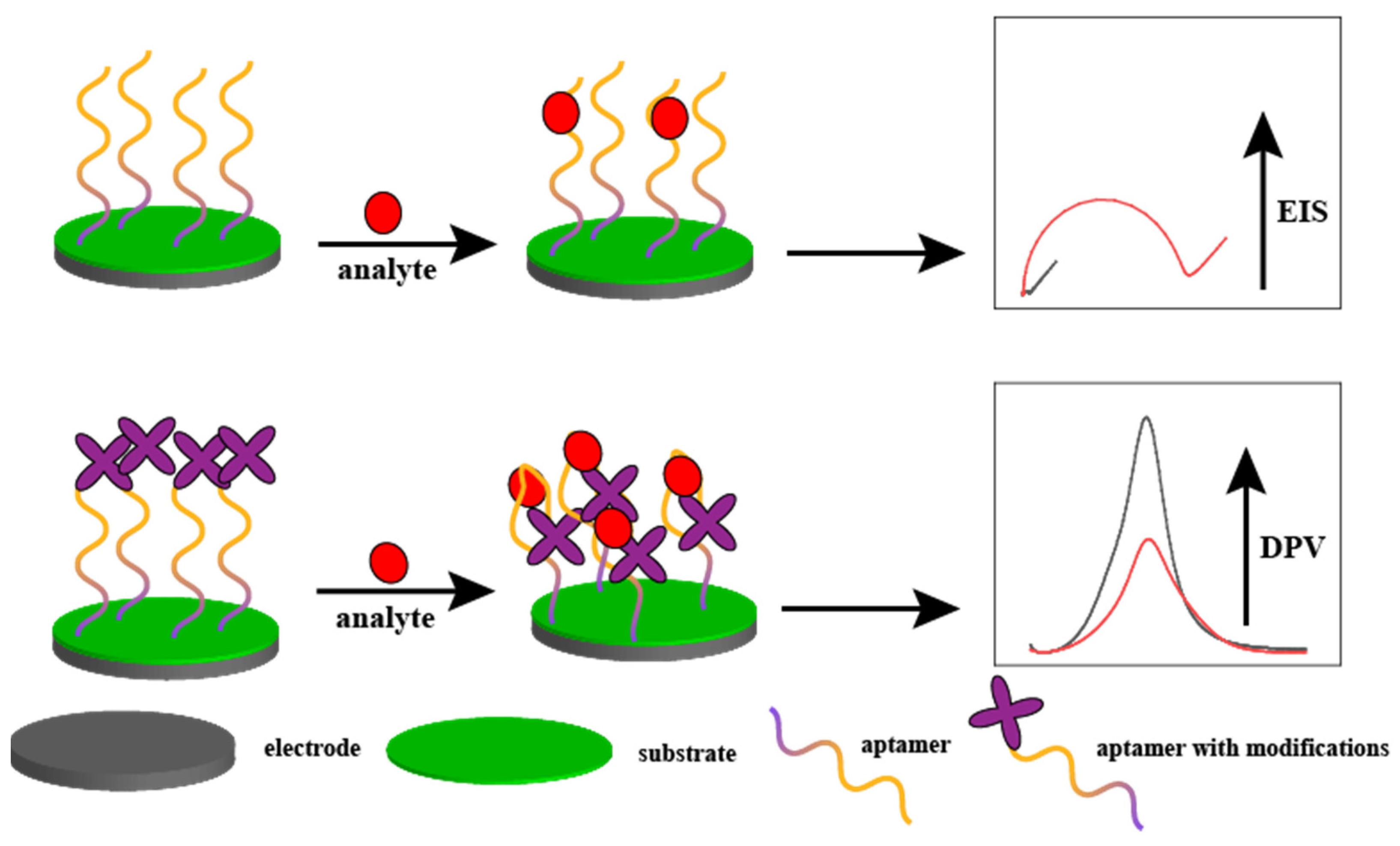 Biosensors 15 00120 g001
