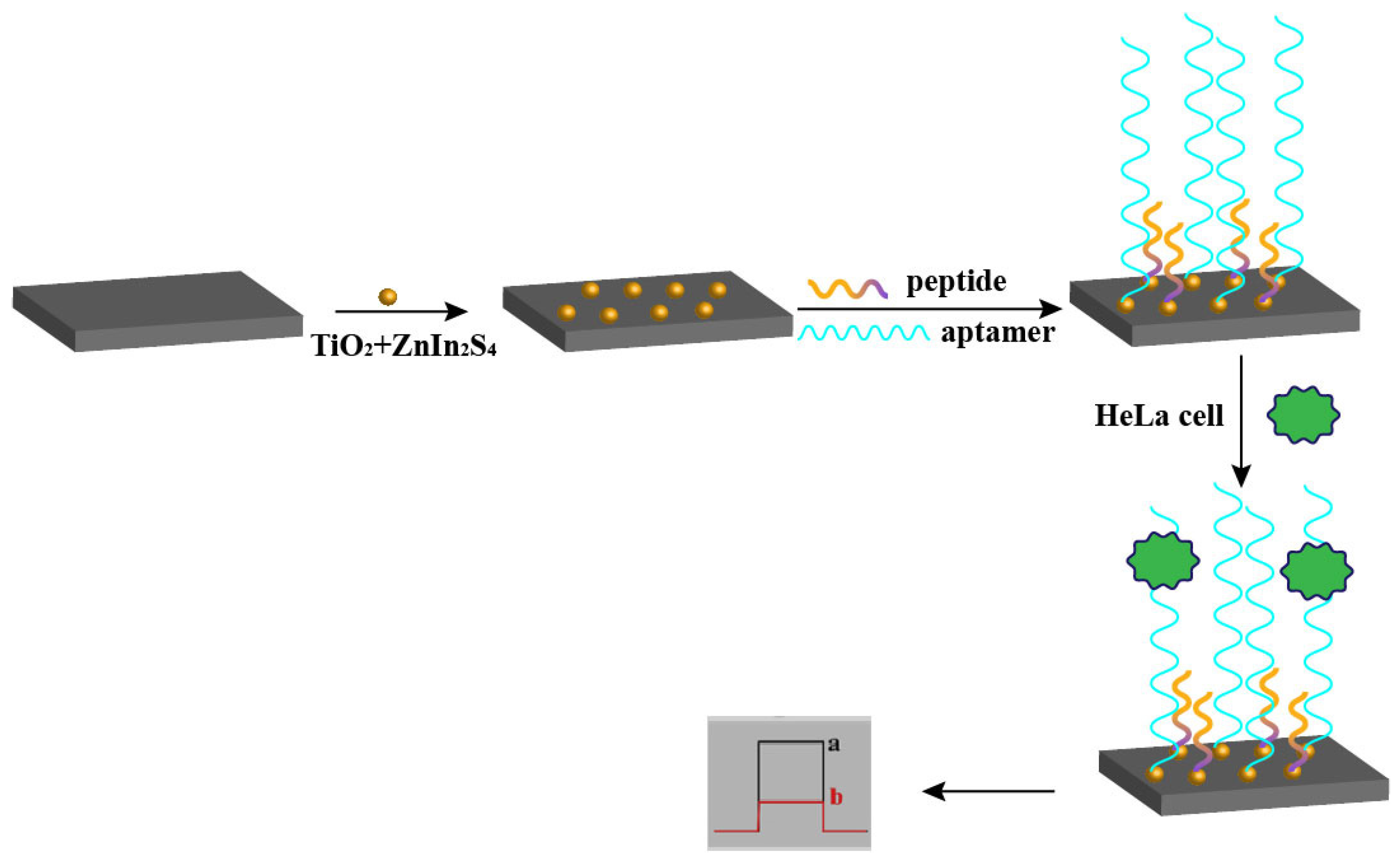 Biosensors 15 00120 g006