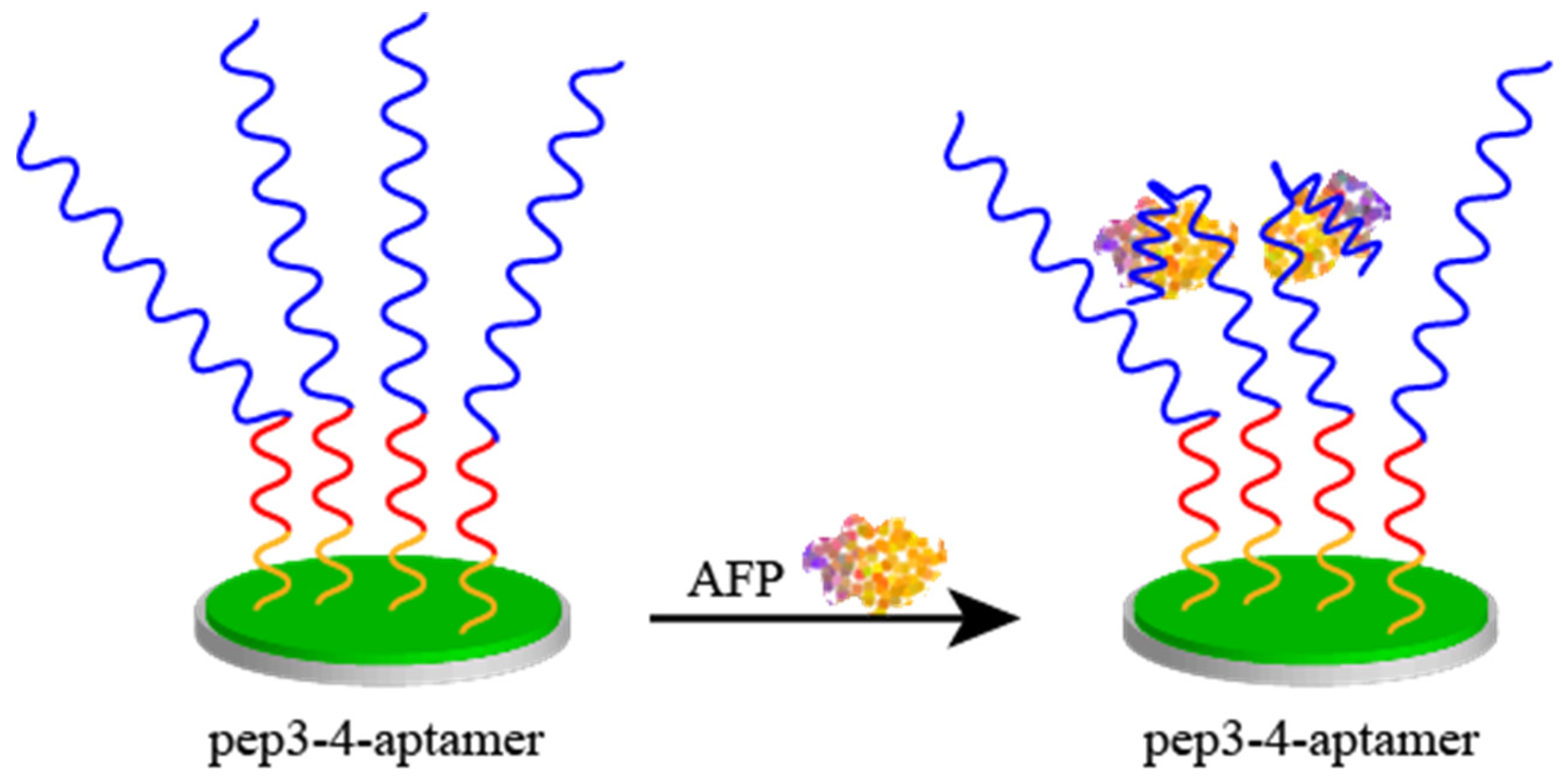 Biosensors 15 00120 g007