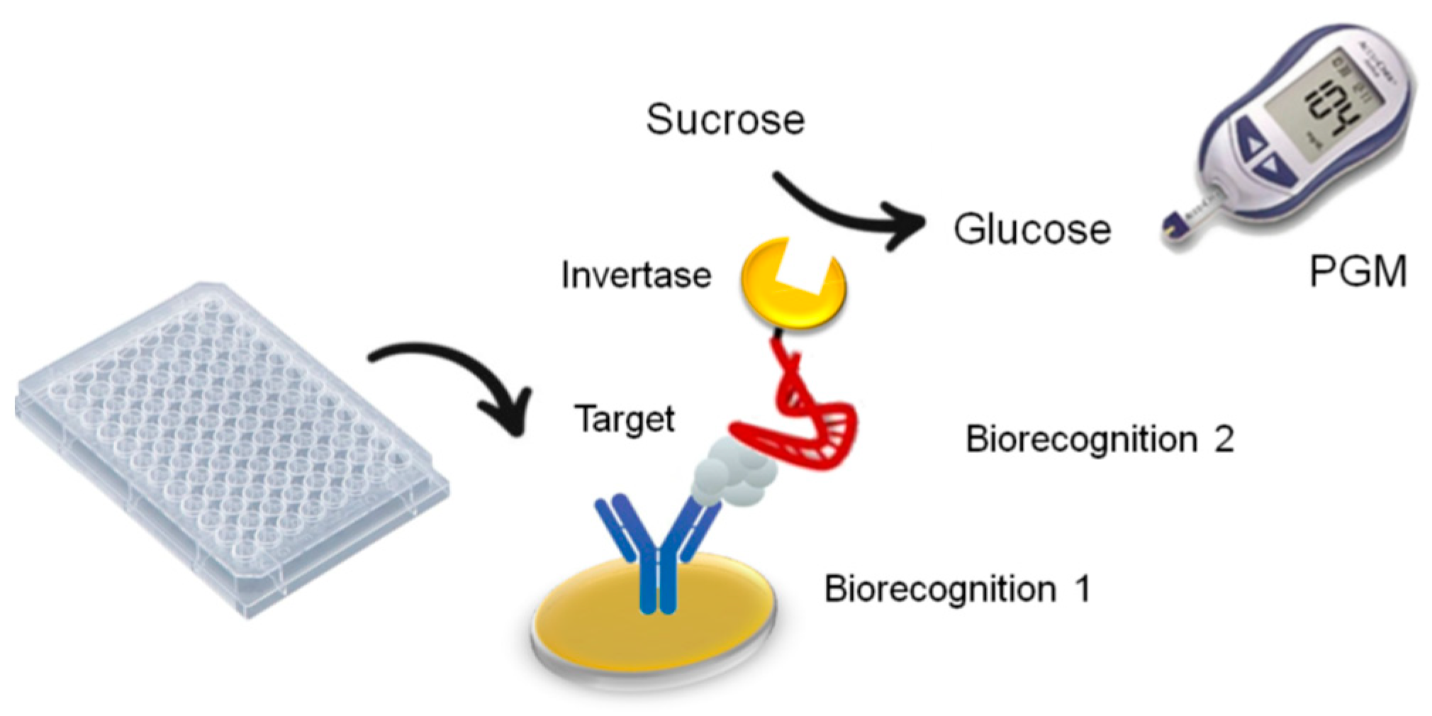 Biosensors 15 00121 g001