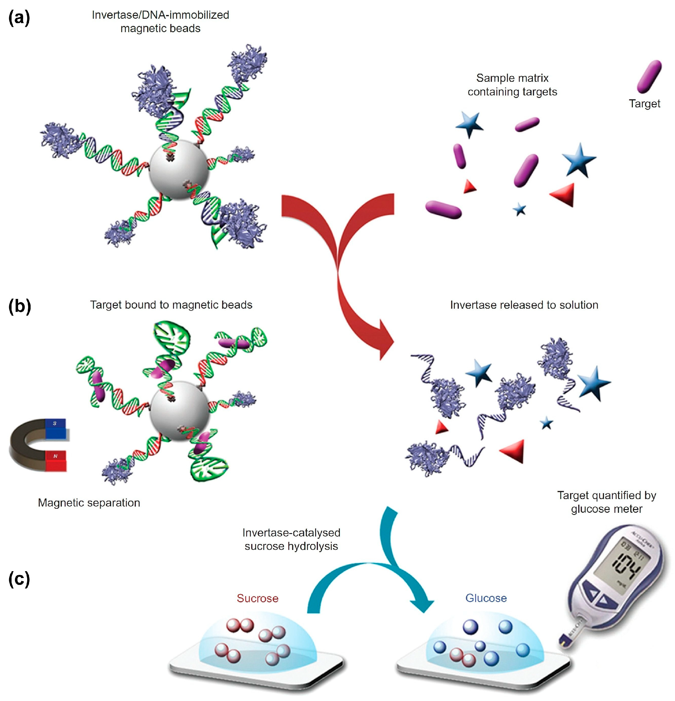 Biosensors 15 00121 g002