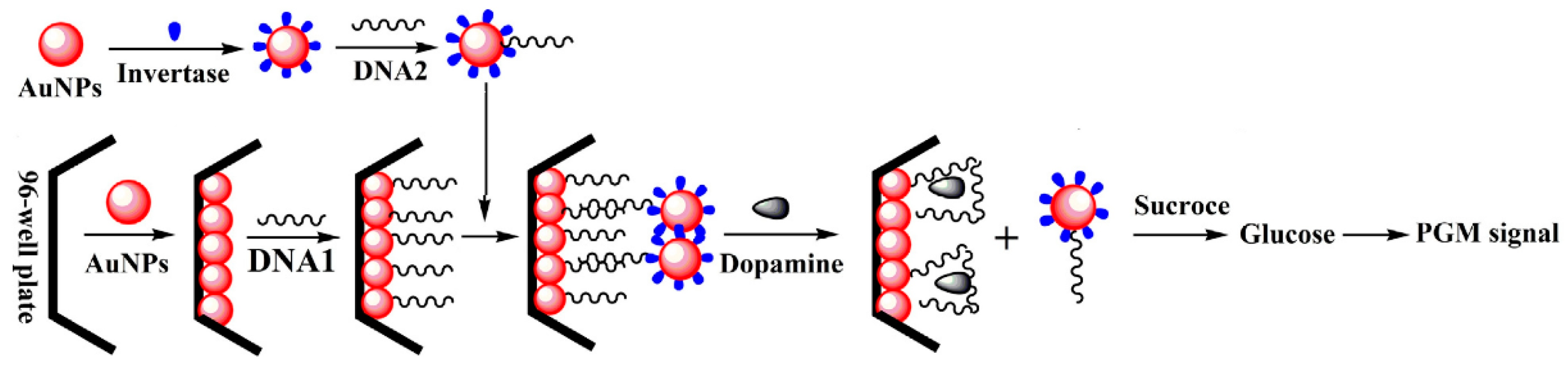Biosensors 15 00121 g004
