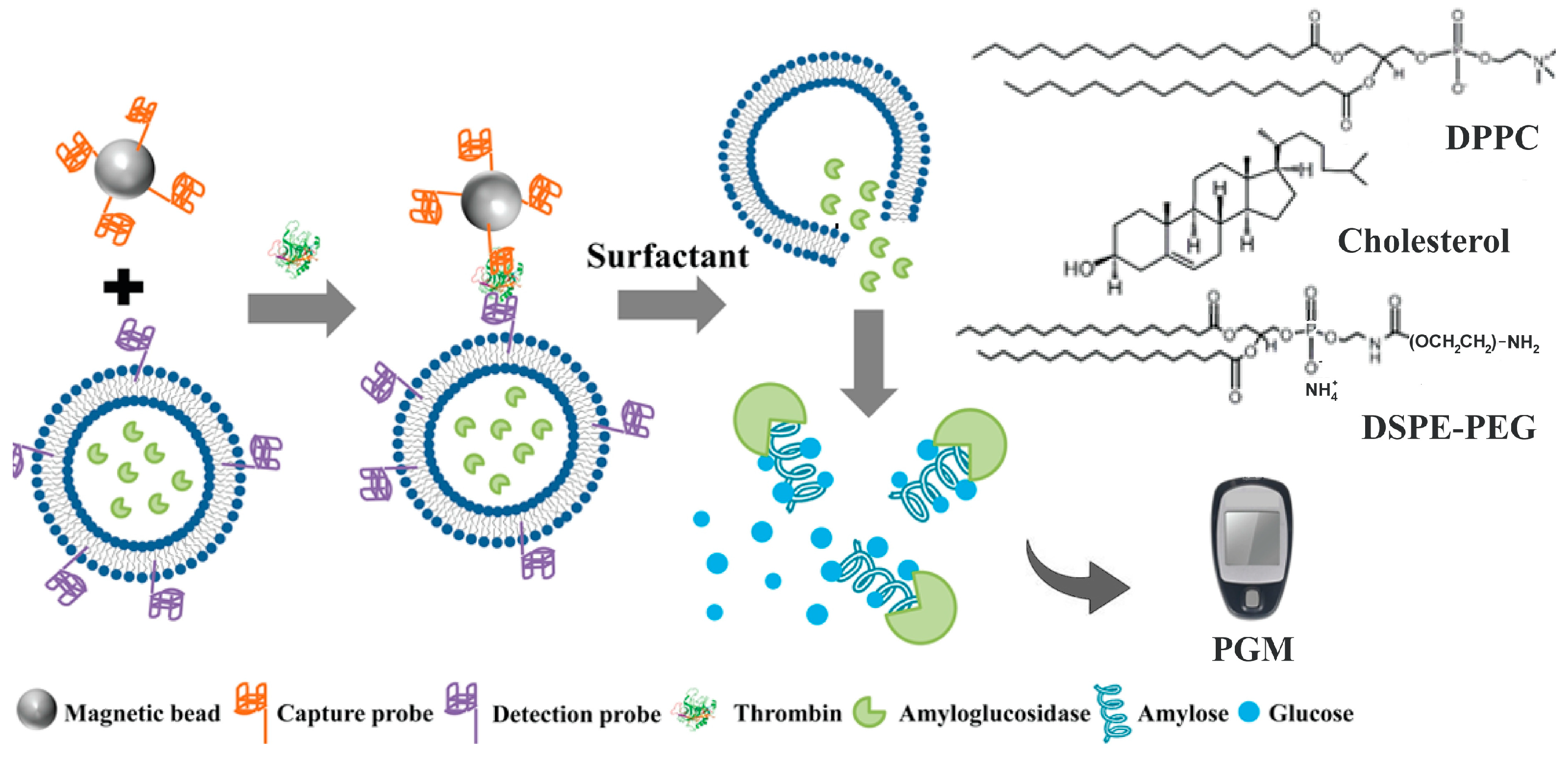 Biosensors 15 00121 g005