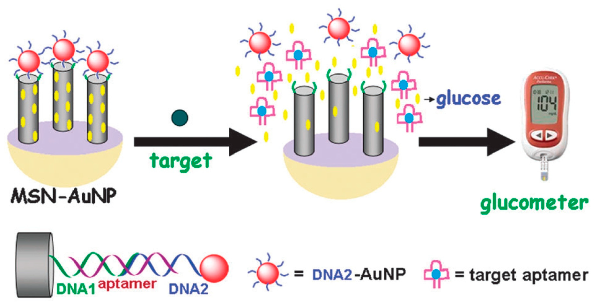 Biosensors 15 00121 g007