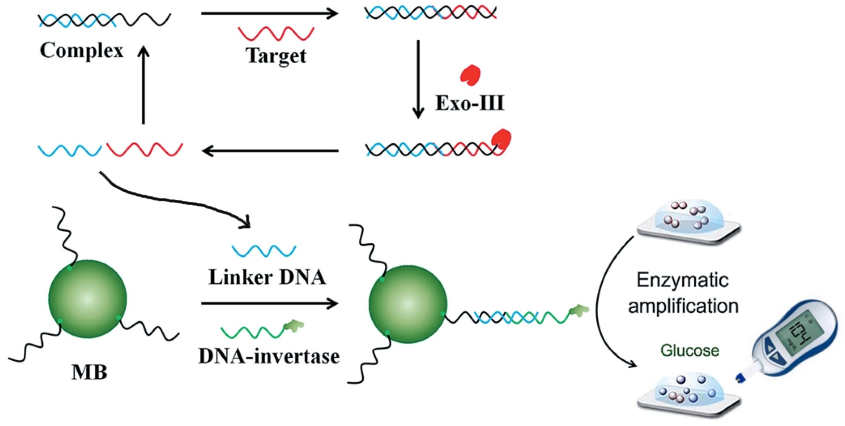 Biosensors 15 00121 g010