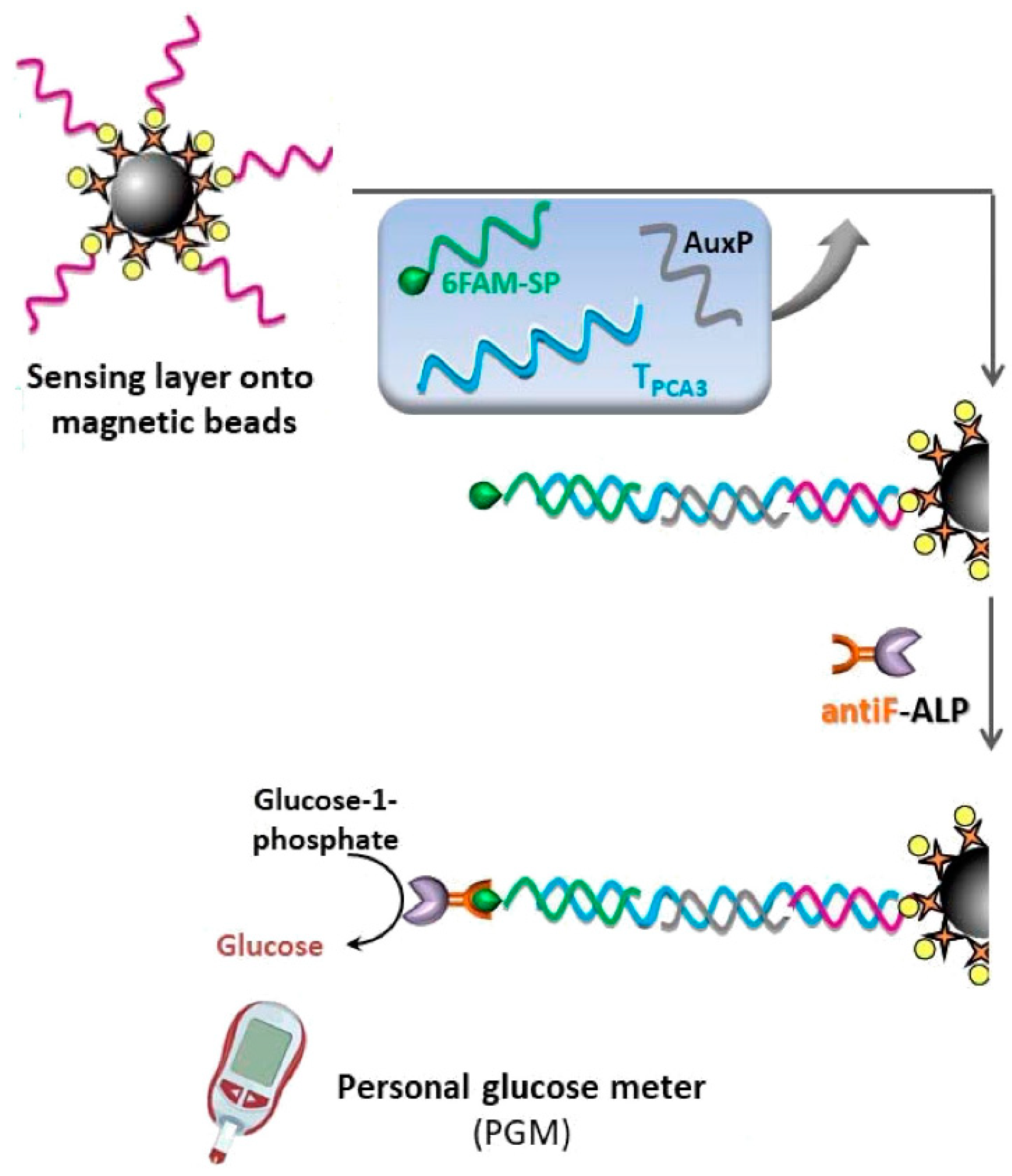 Biosensors 15 00121 g011