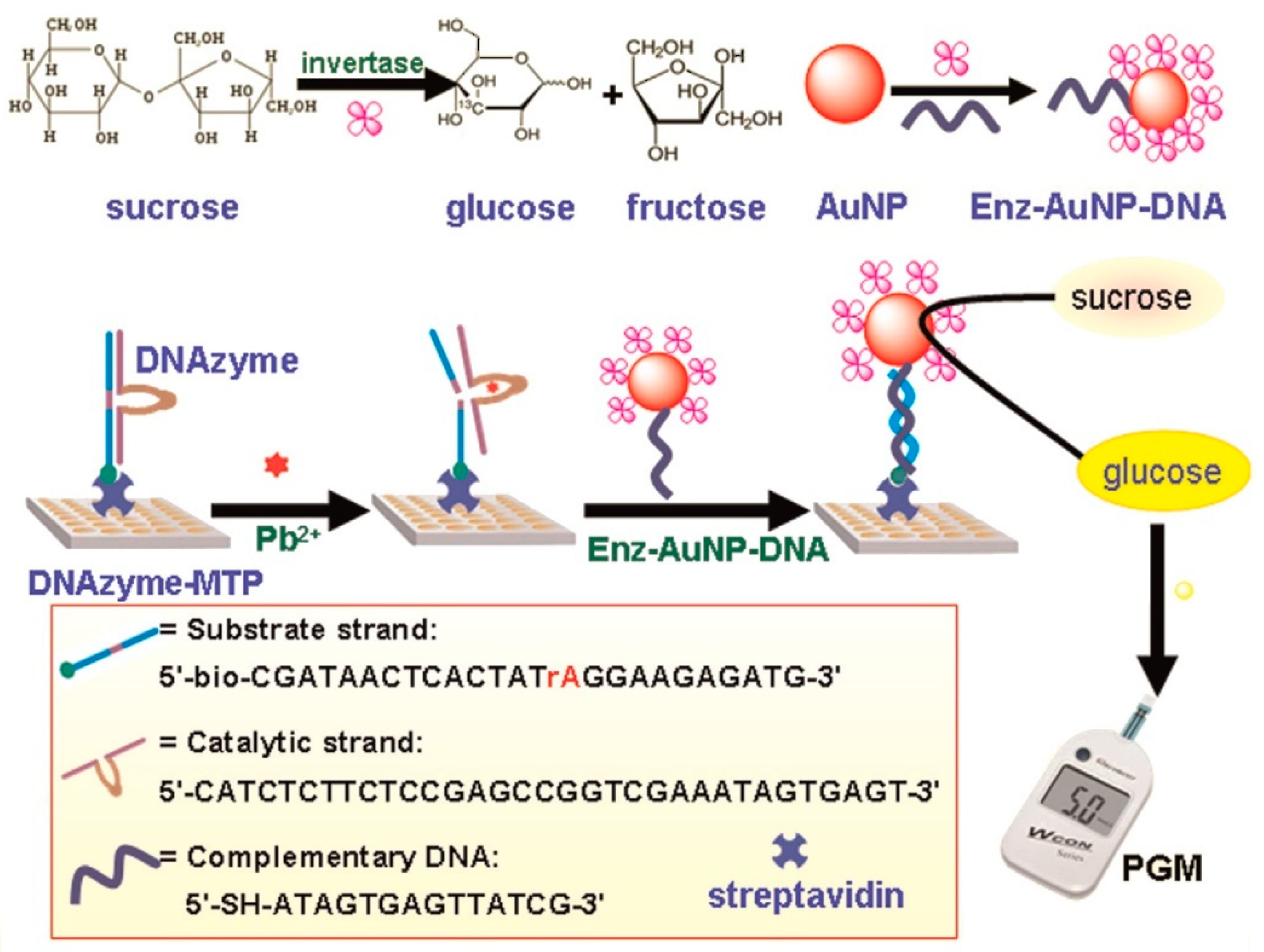 Biosensors 15 00121 g013