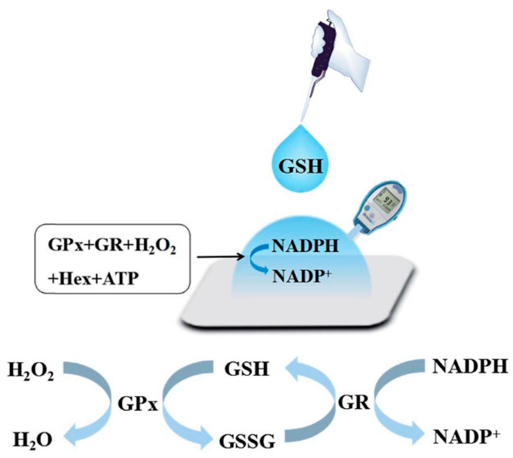 Biosensors 15 00121 g015