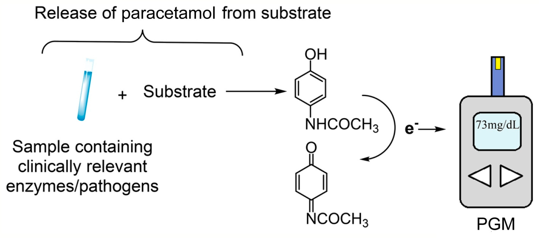 Biosensors 15 00121 g016