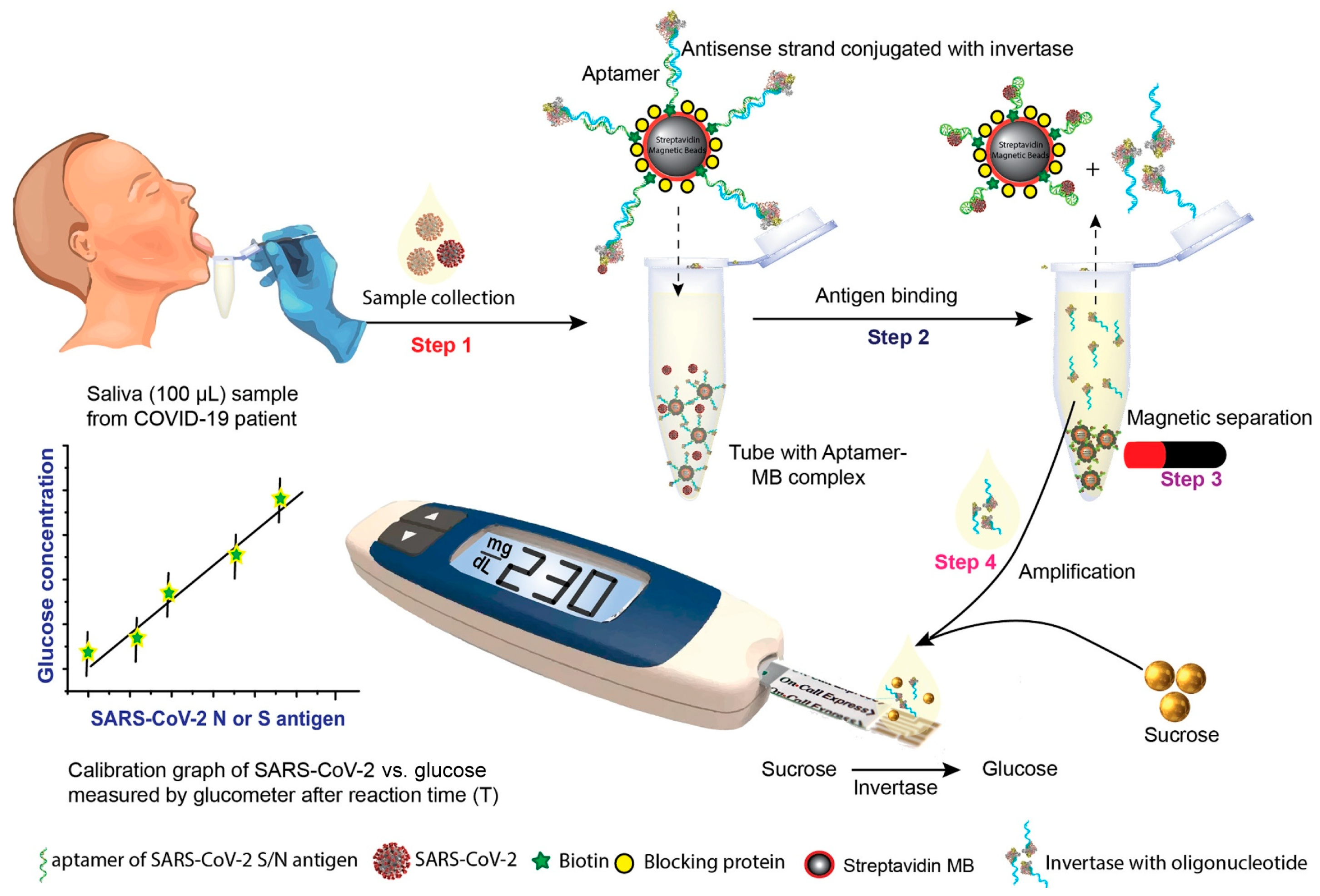 Biosensors 15 00121 g017