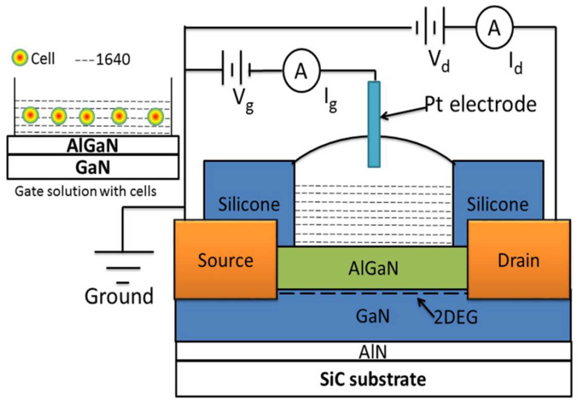 Biosensors 15 00125 g001