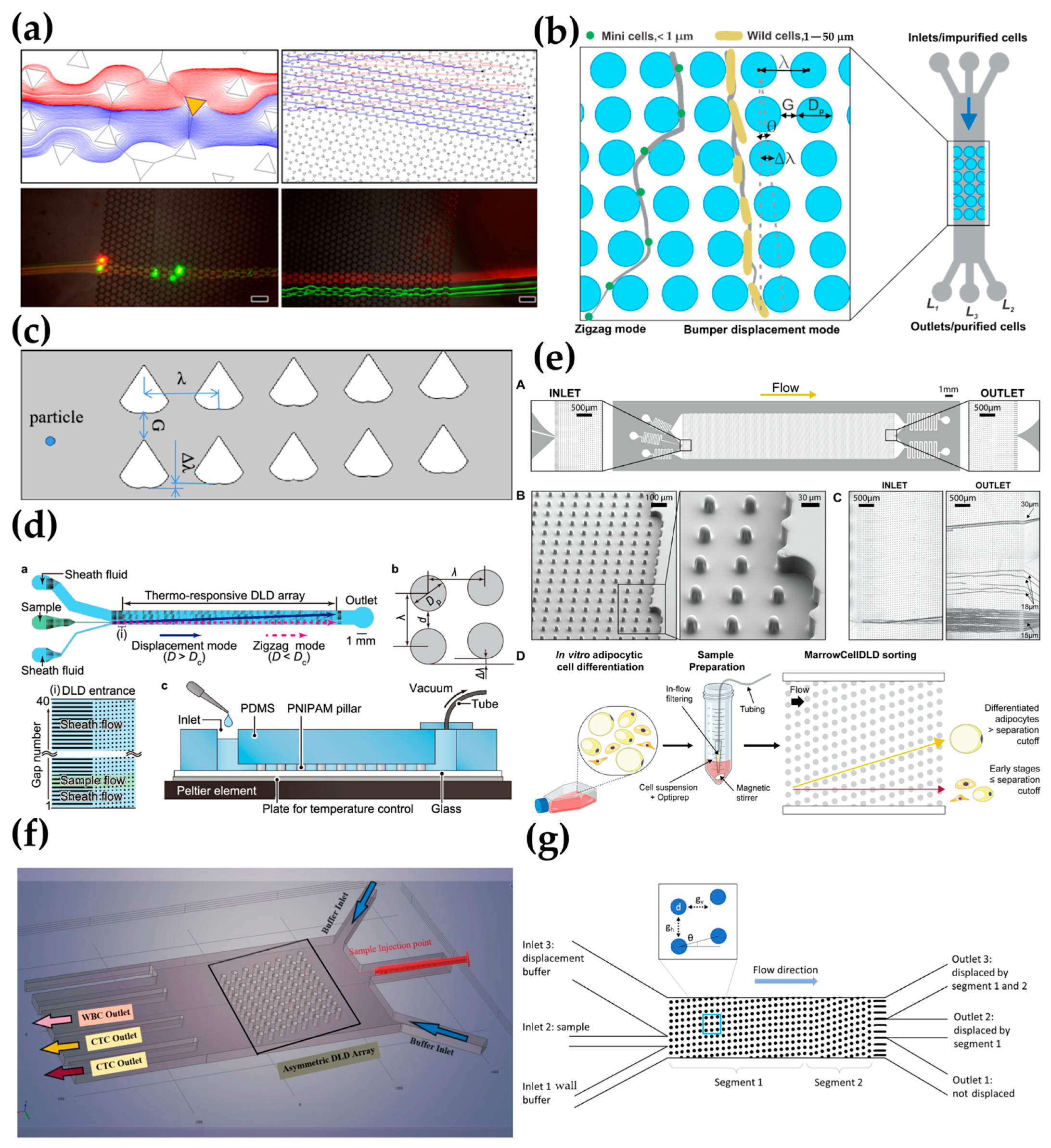Biosensors 15 00126 g003