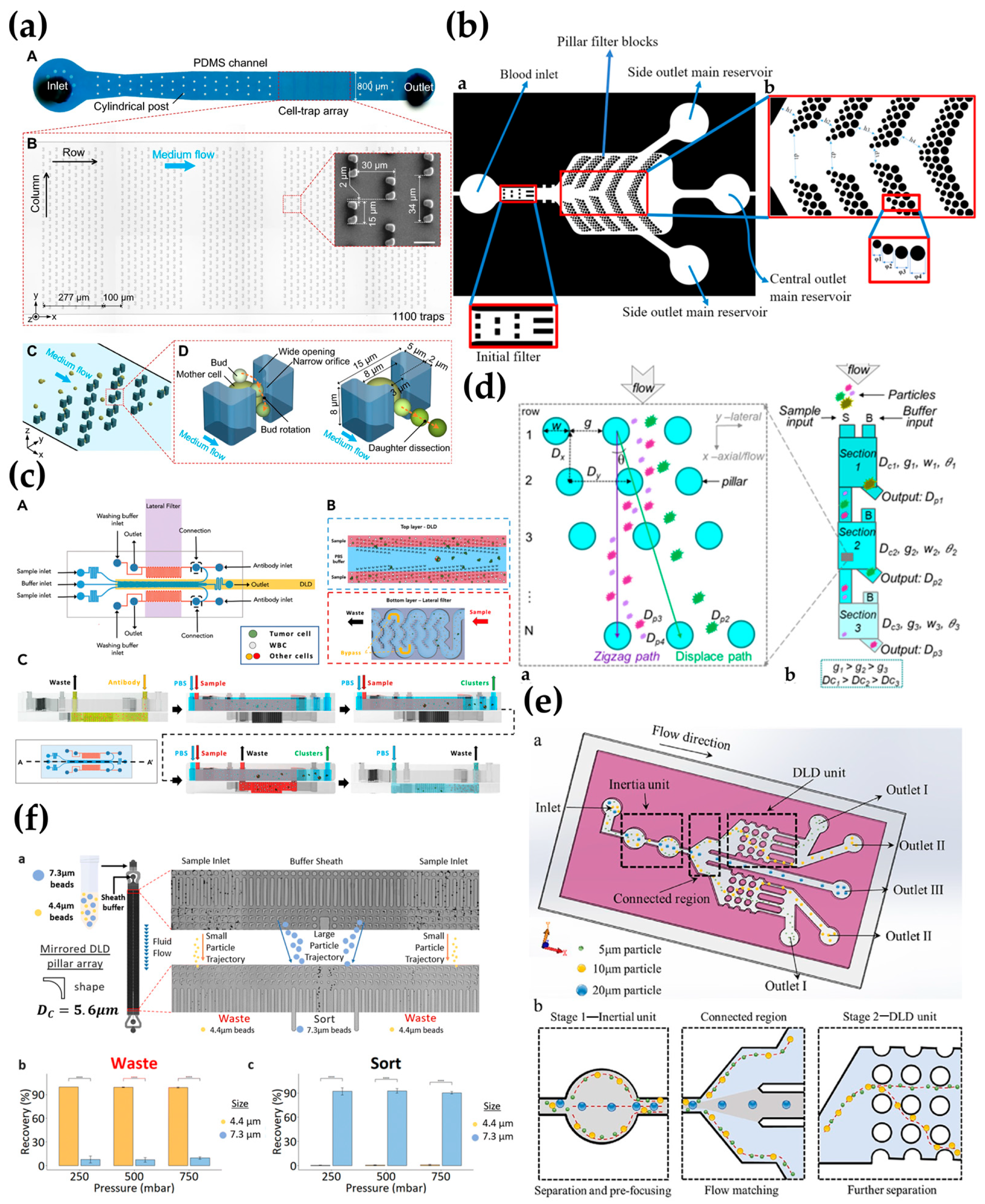 Biosensors 15 00126 g004