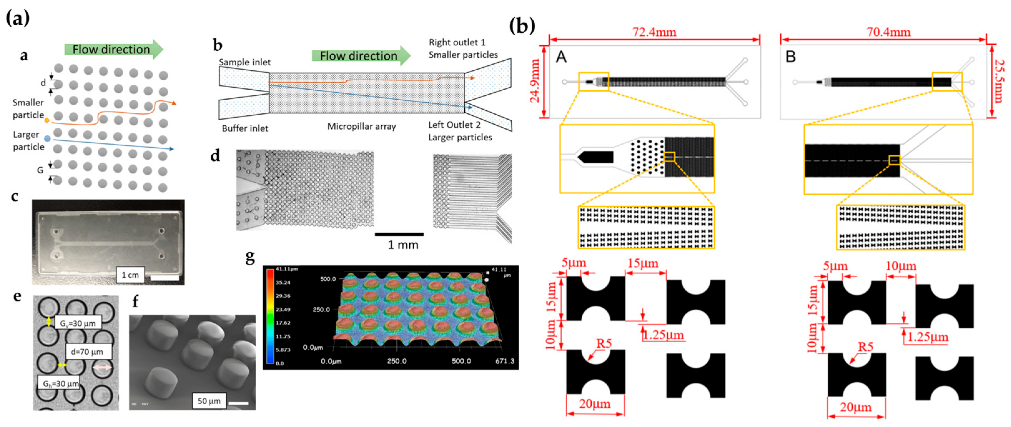 Biosensors 15 00126 g006
