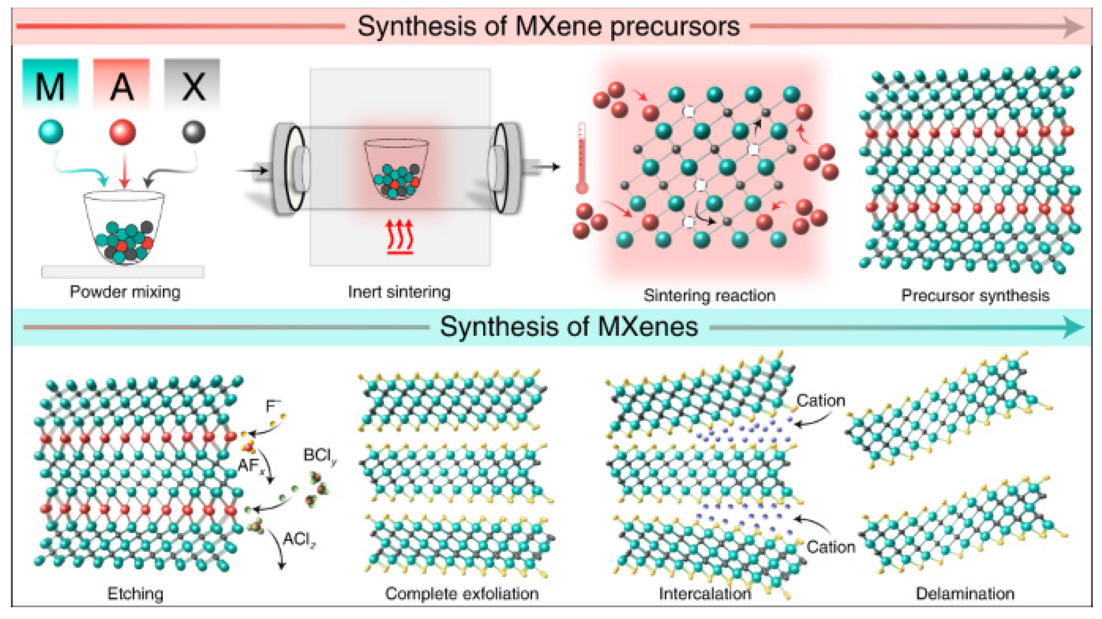 Biosensors 15 00127 g003