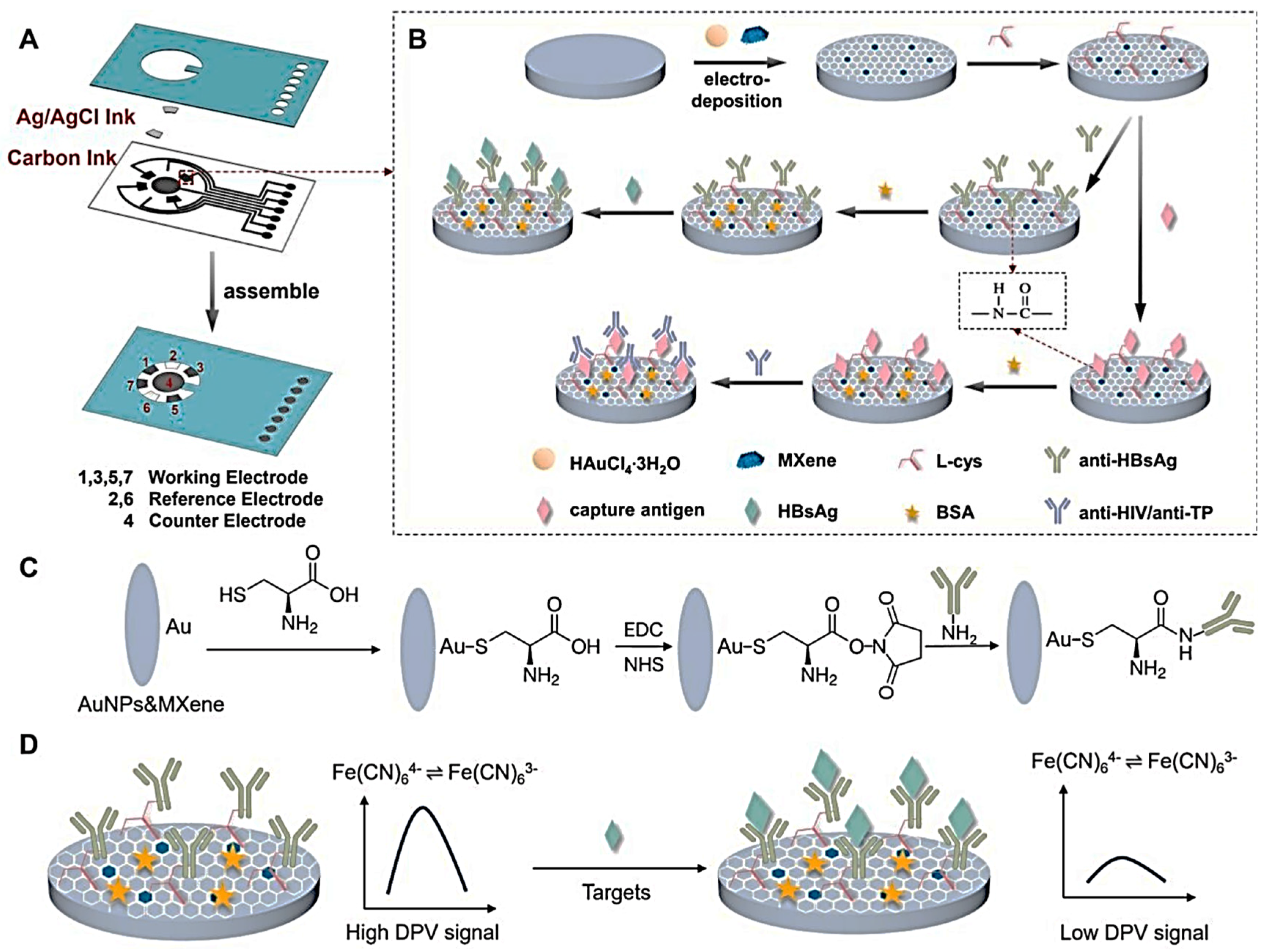 Biosensors 15 00127 g006