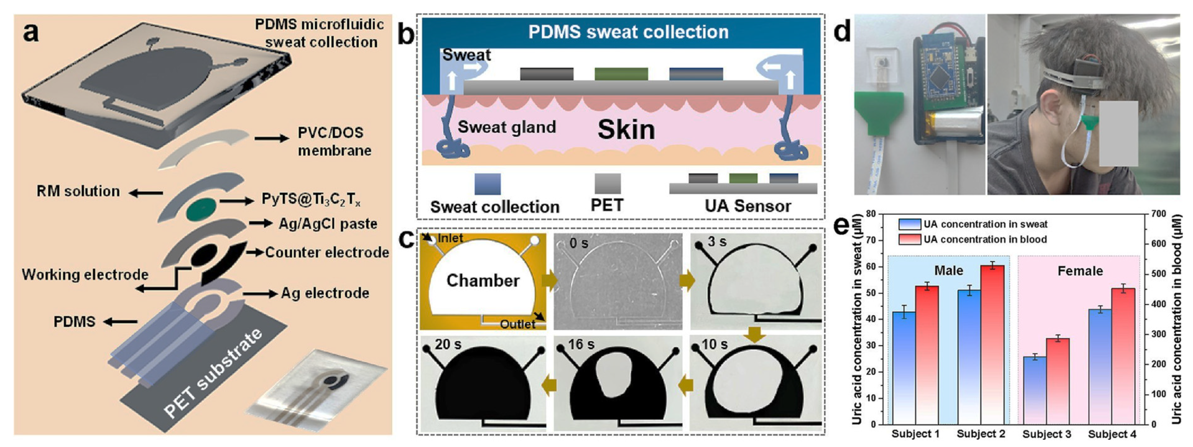 Biosensors 15 00127 g008
