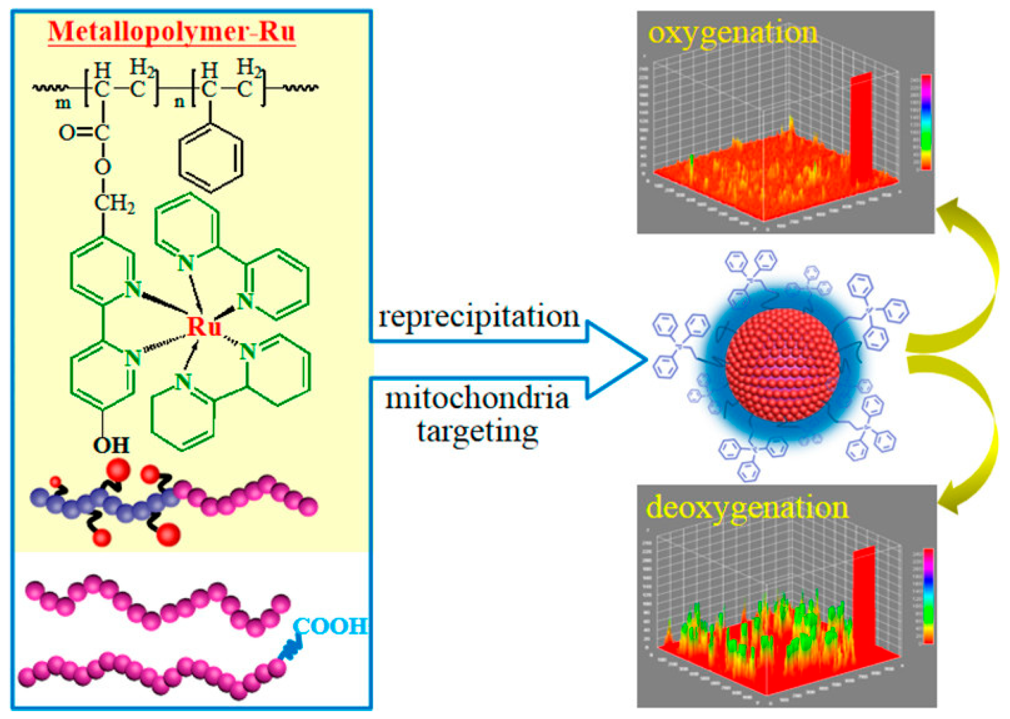 Biosensors 15 00132 g003