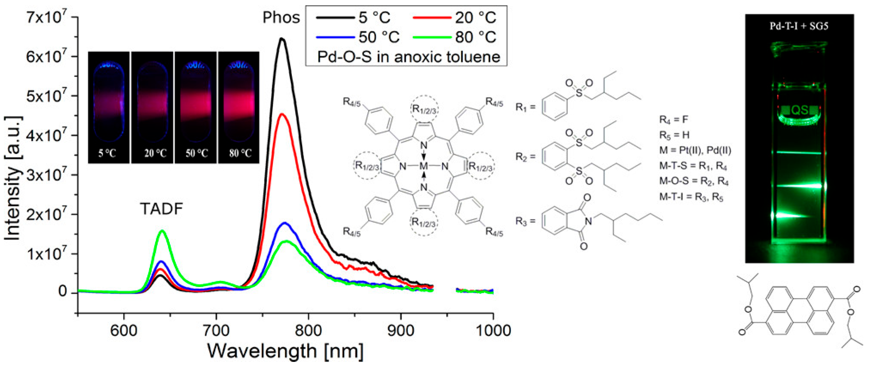 Biosensors 15 00132 g006