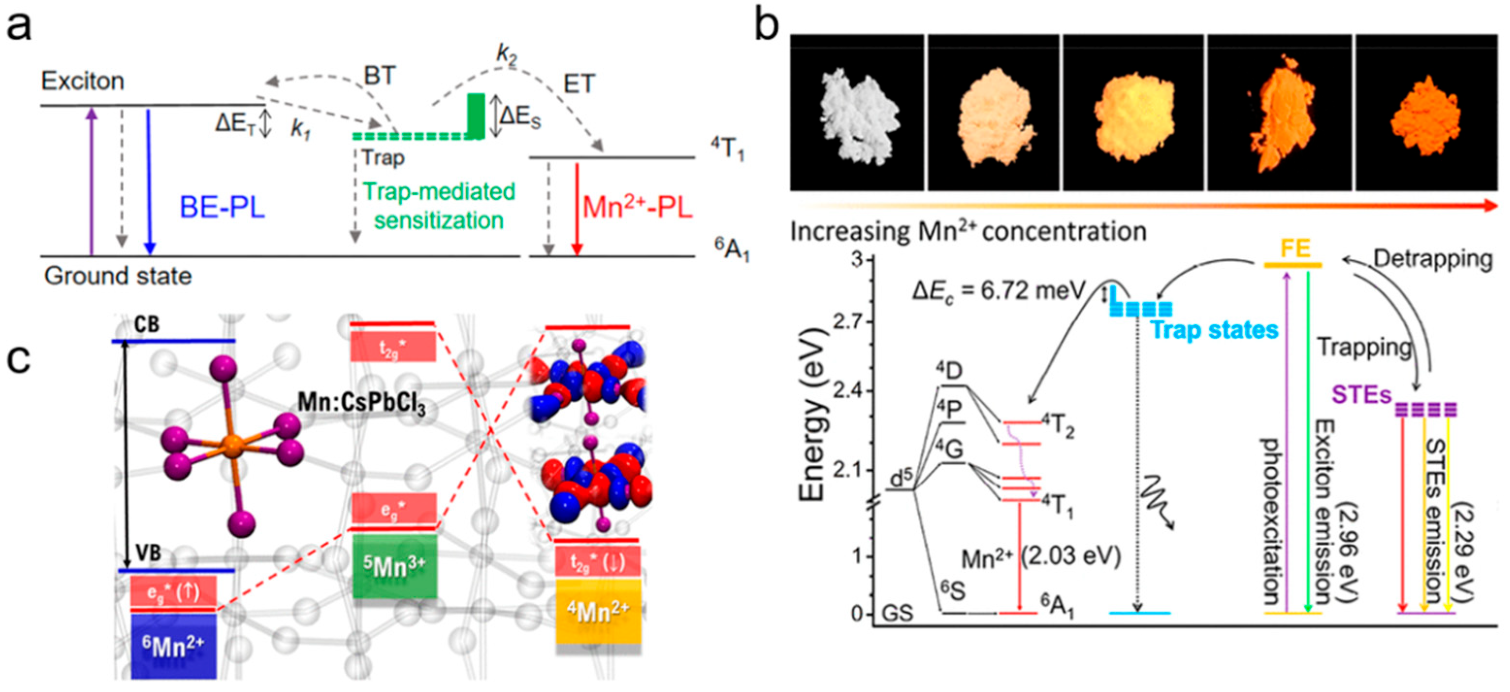 Biosensors 15 00132 g010
