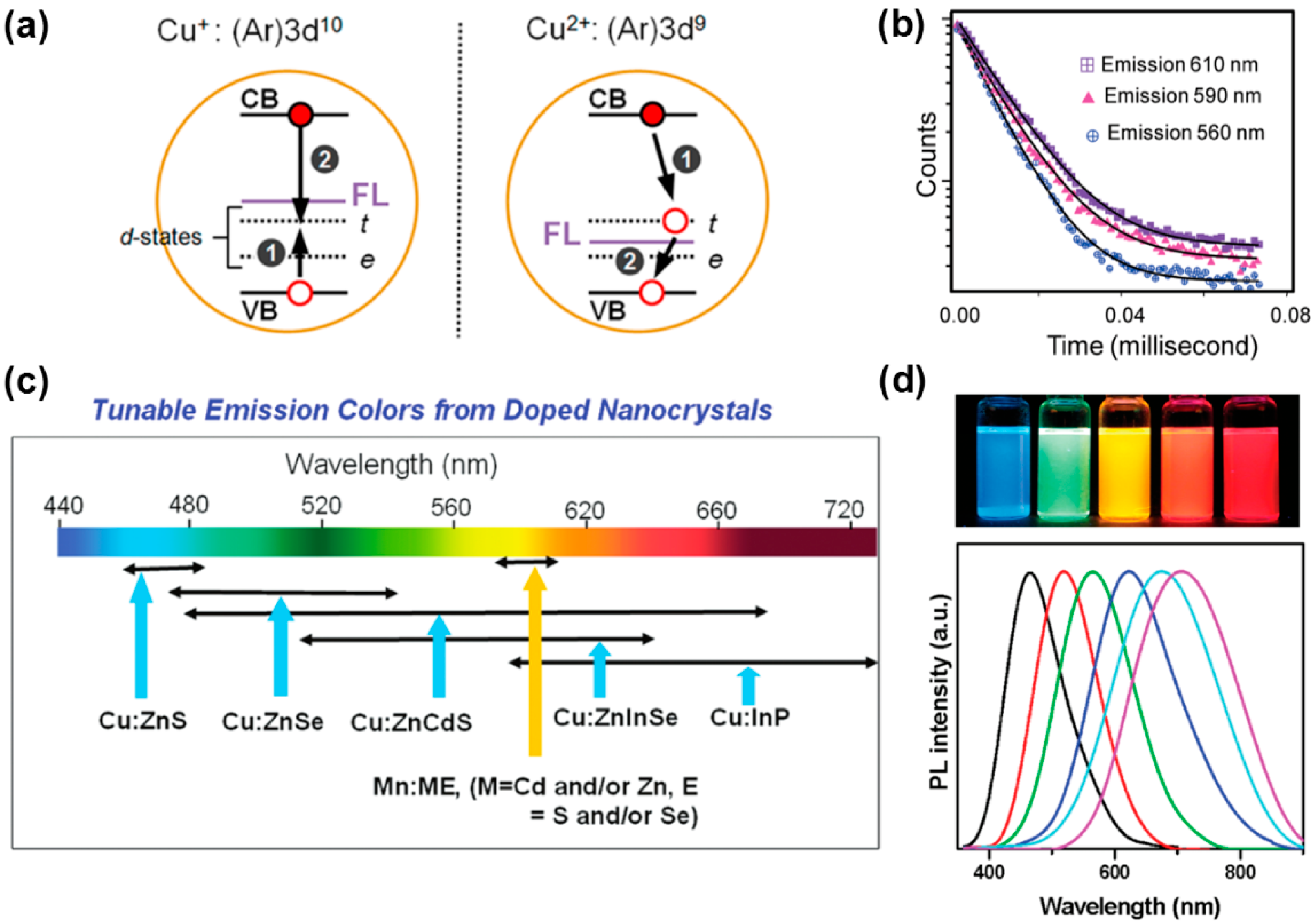 Biosensors 15 00132 g011