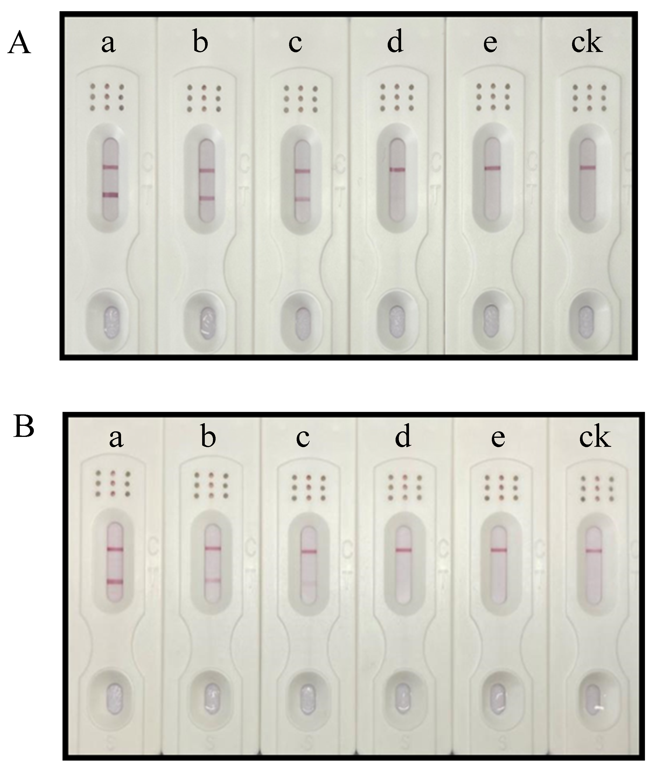 Biosensors 15 00133 g001