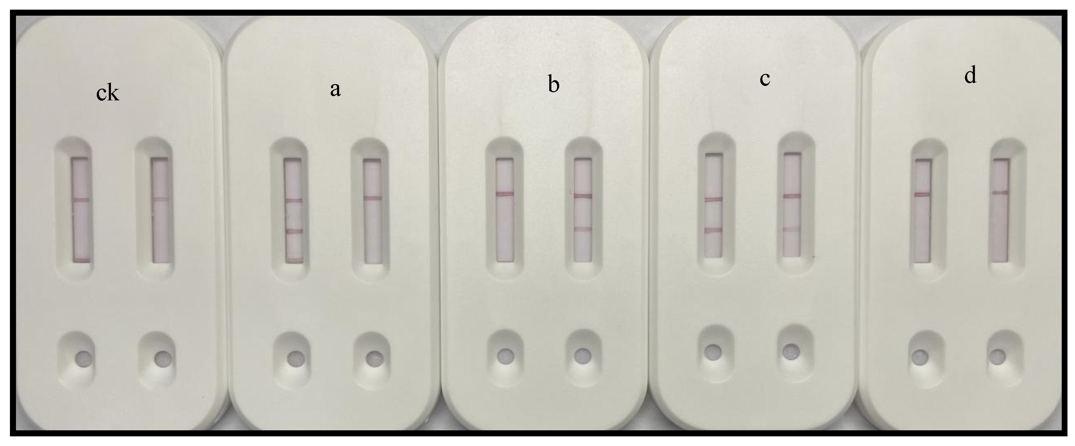 Biosensors 15 00133 g002