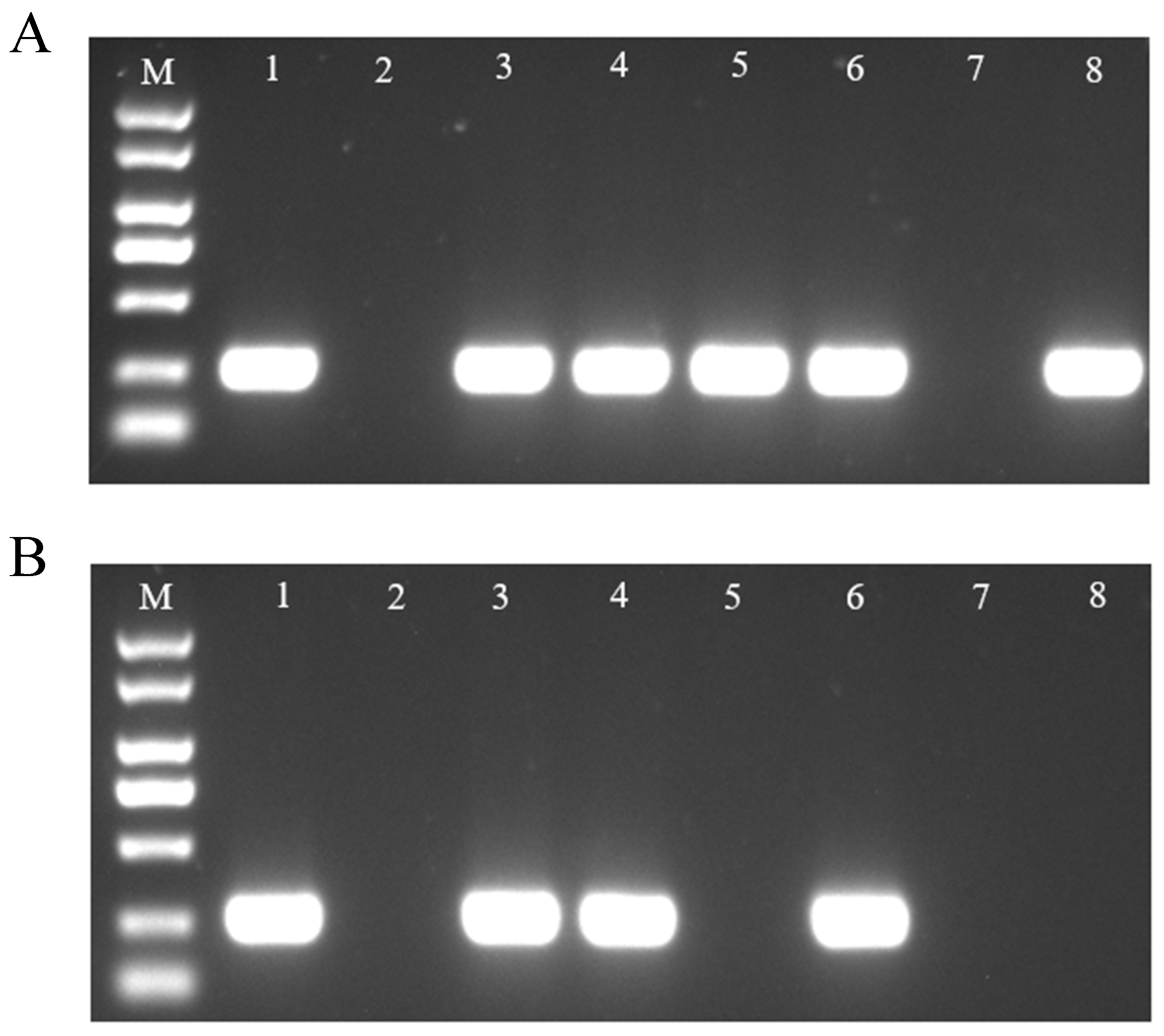 Biosensors 15 00133 g004