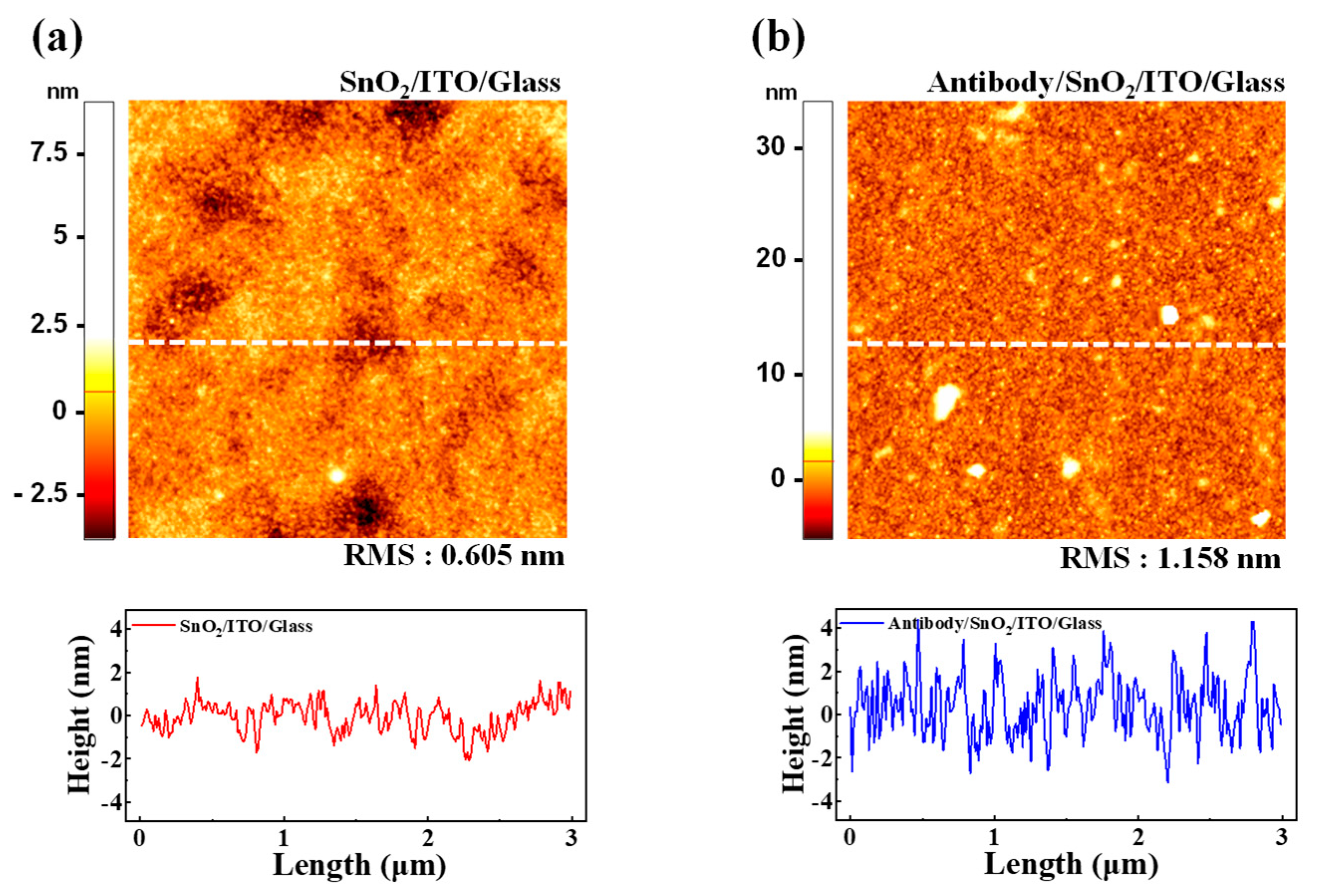 Biosensors 15 00134 g006 Biosensors 15 00134 g006