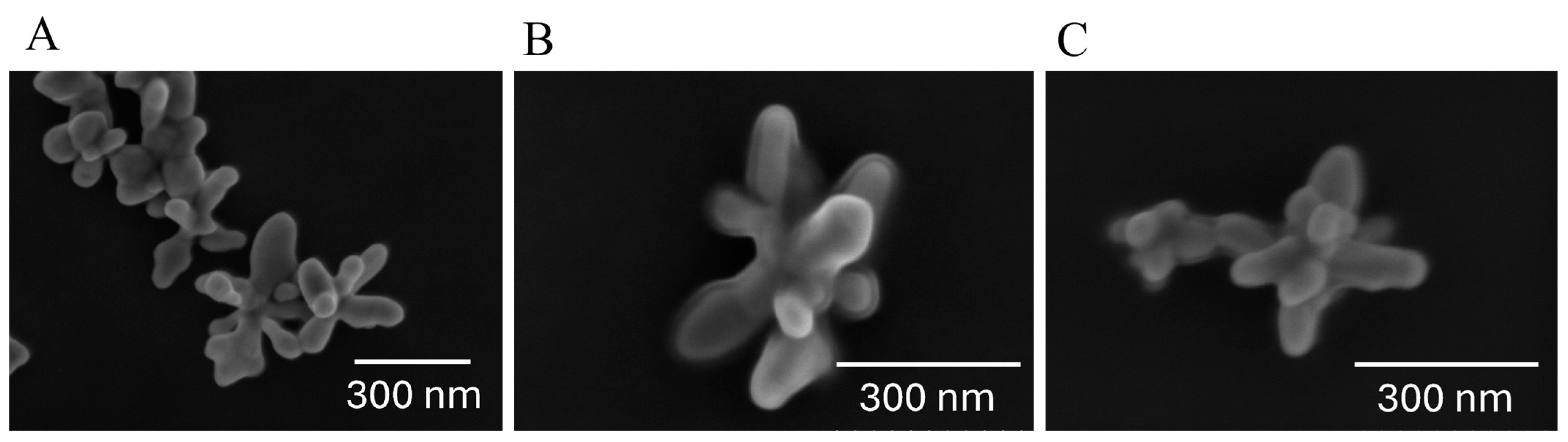 Biosensors 15 00136 g003