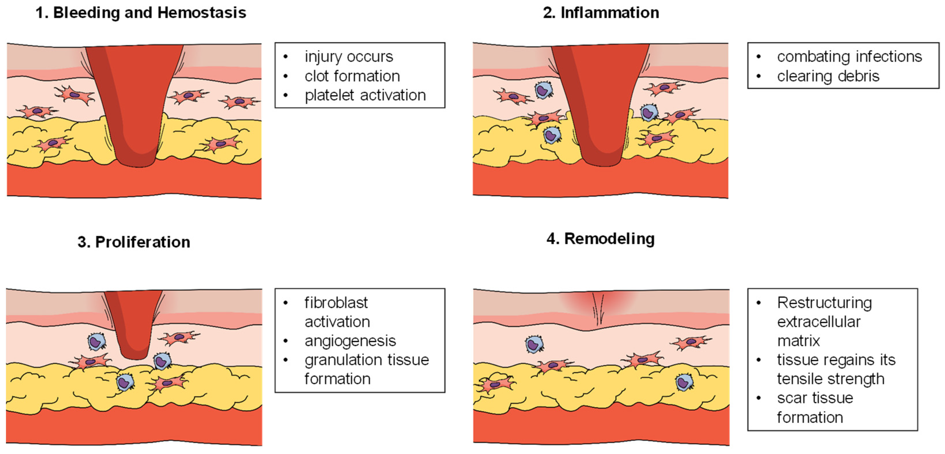 Biosensors 15 00139 g001