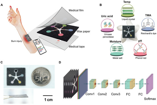 SN様 Advances in Wearable Biosensors for Wound Healing and