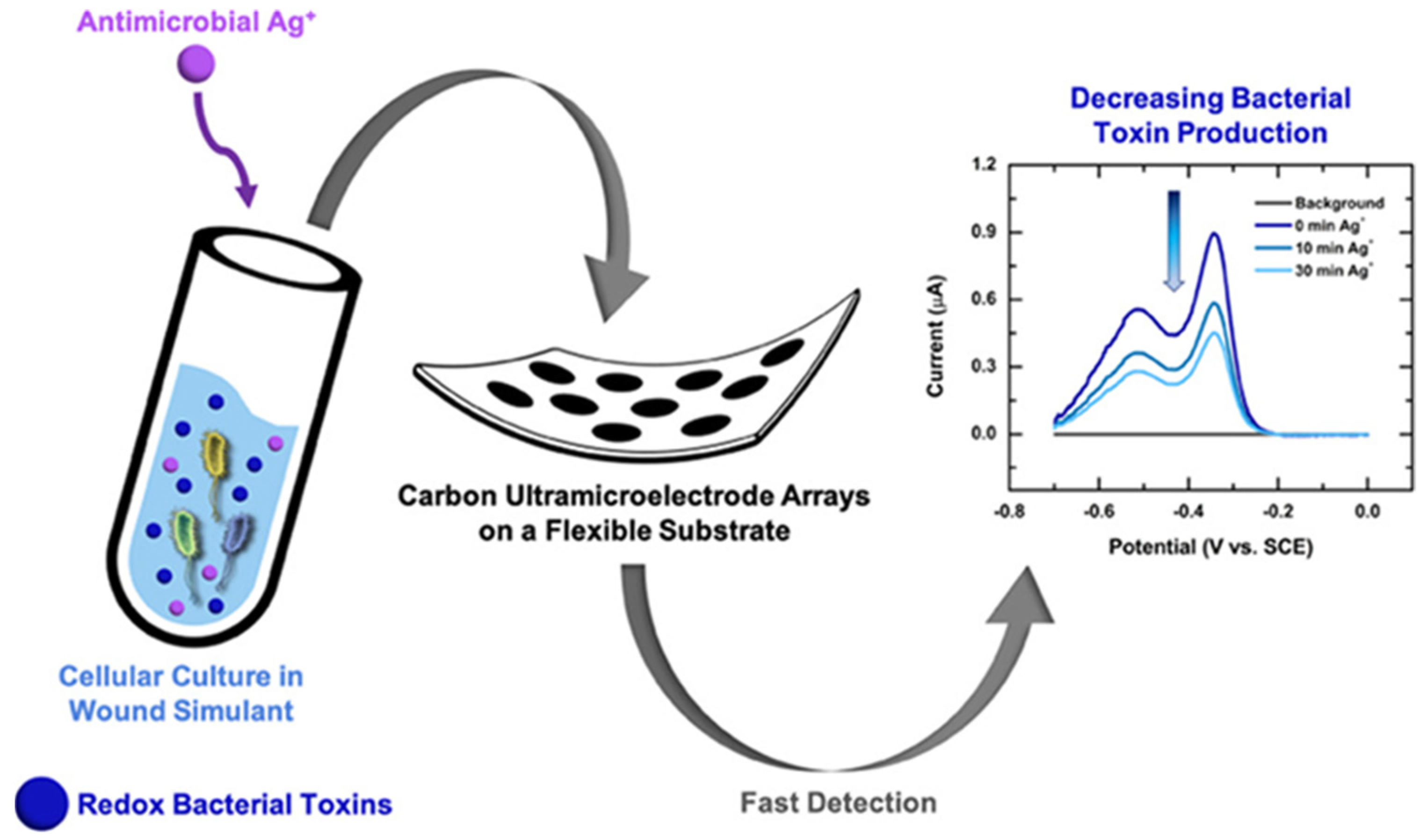 Biosensors 15 00139 g004