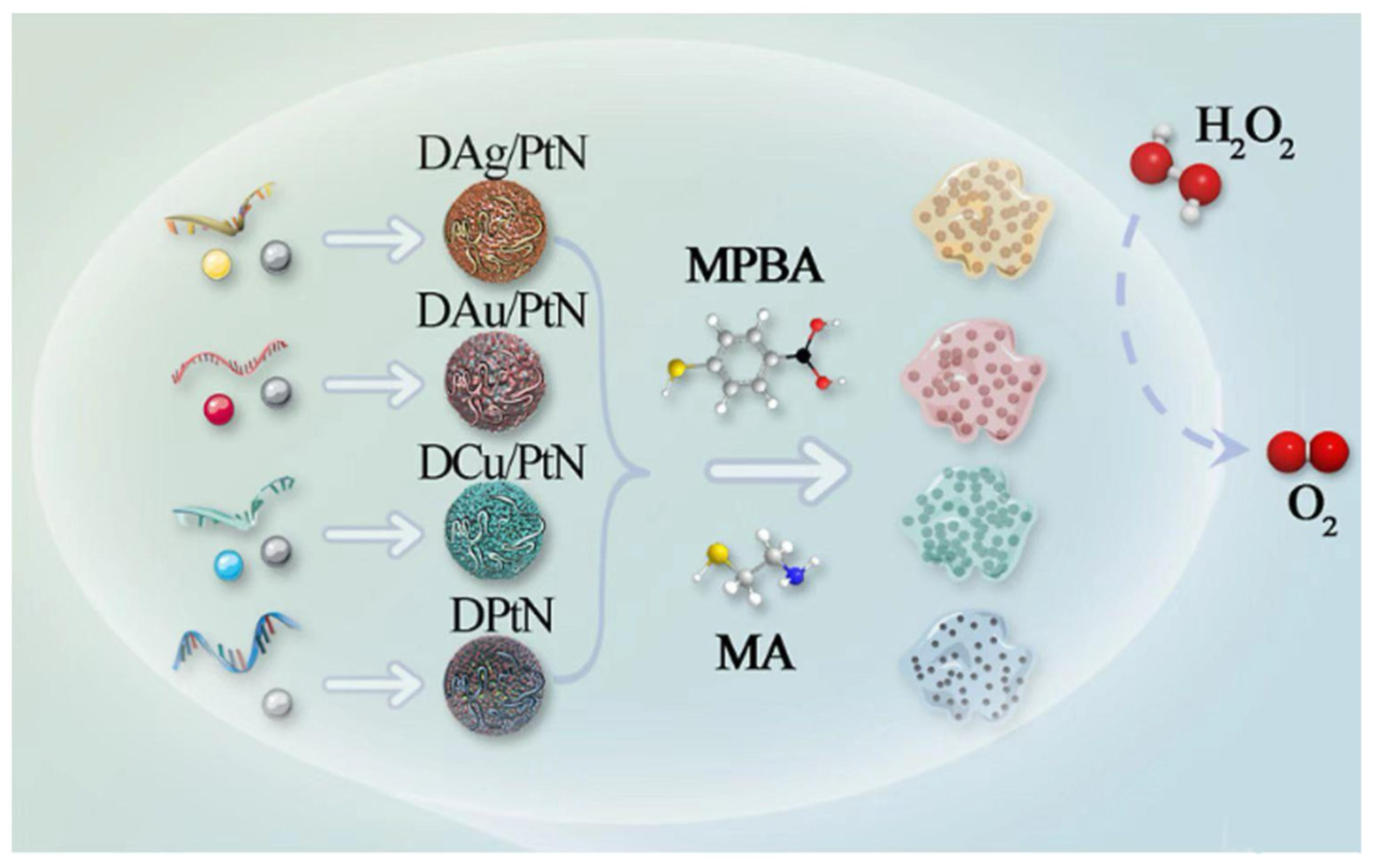 Biosensors 15 00142 g004