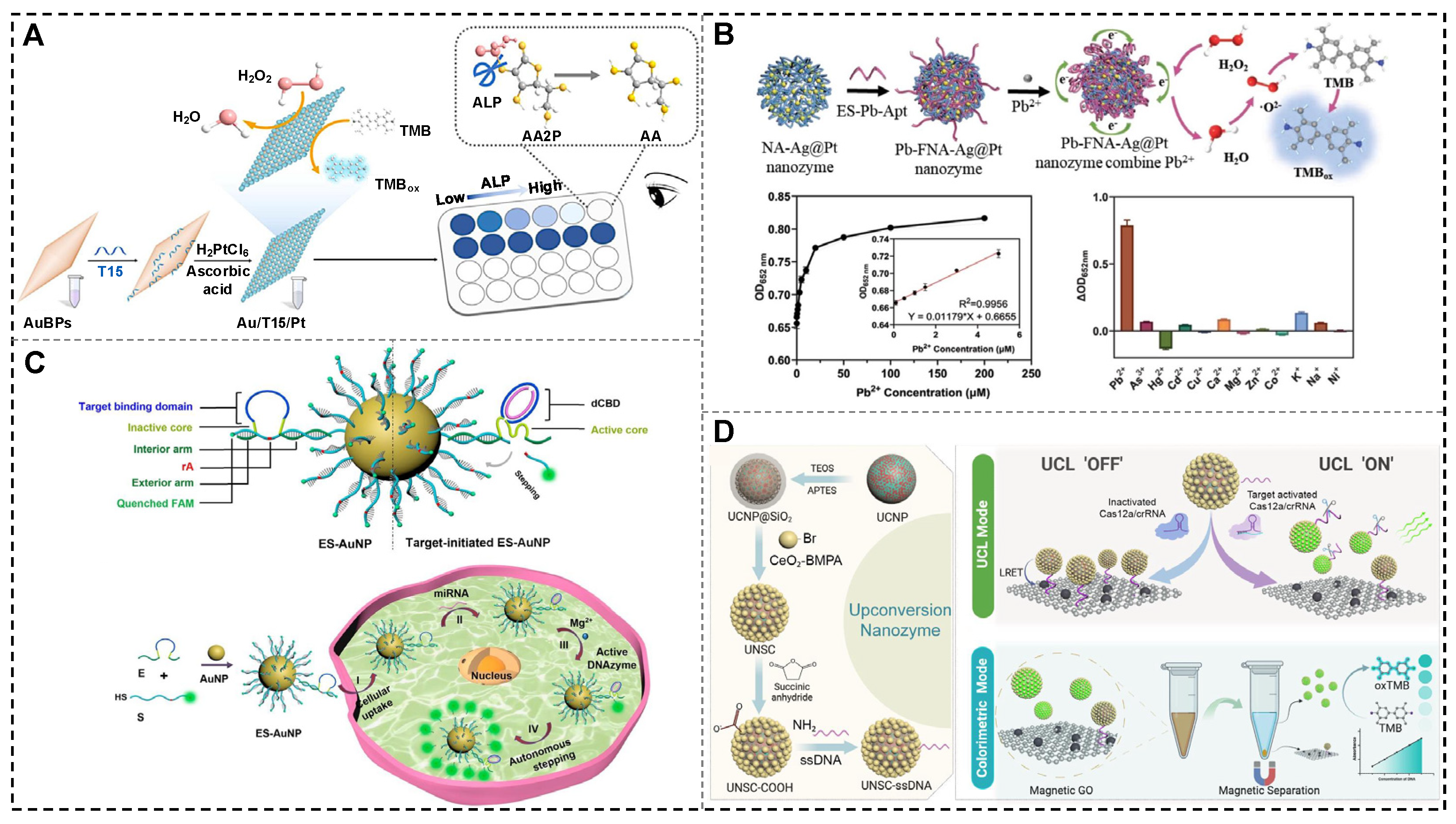 Biosensors 15 00142 g007