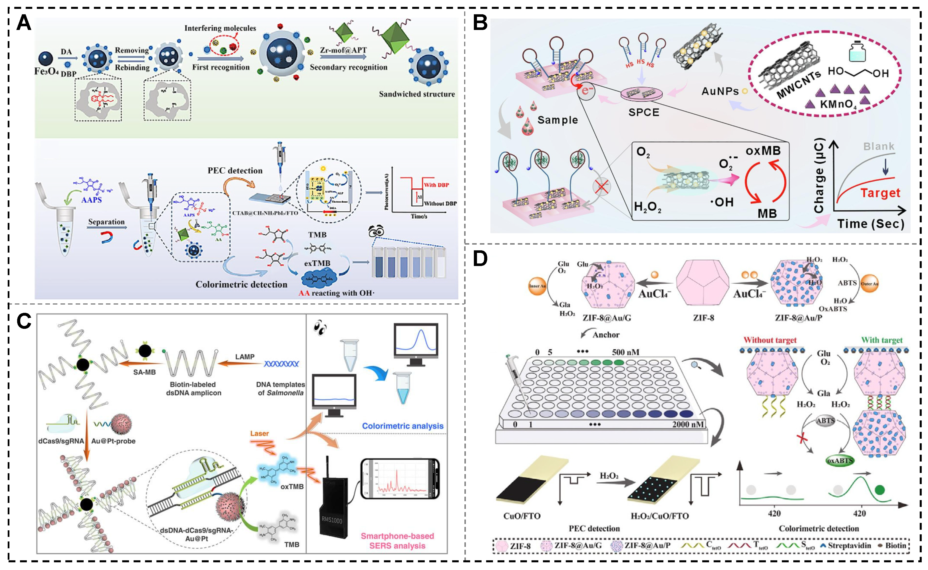 Biosensors 15 00142 g008