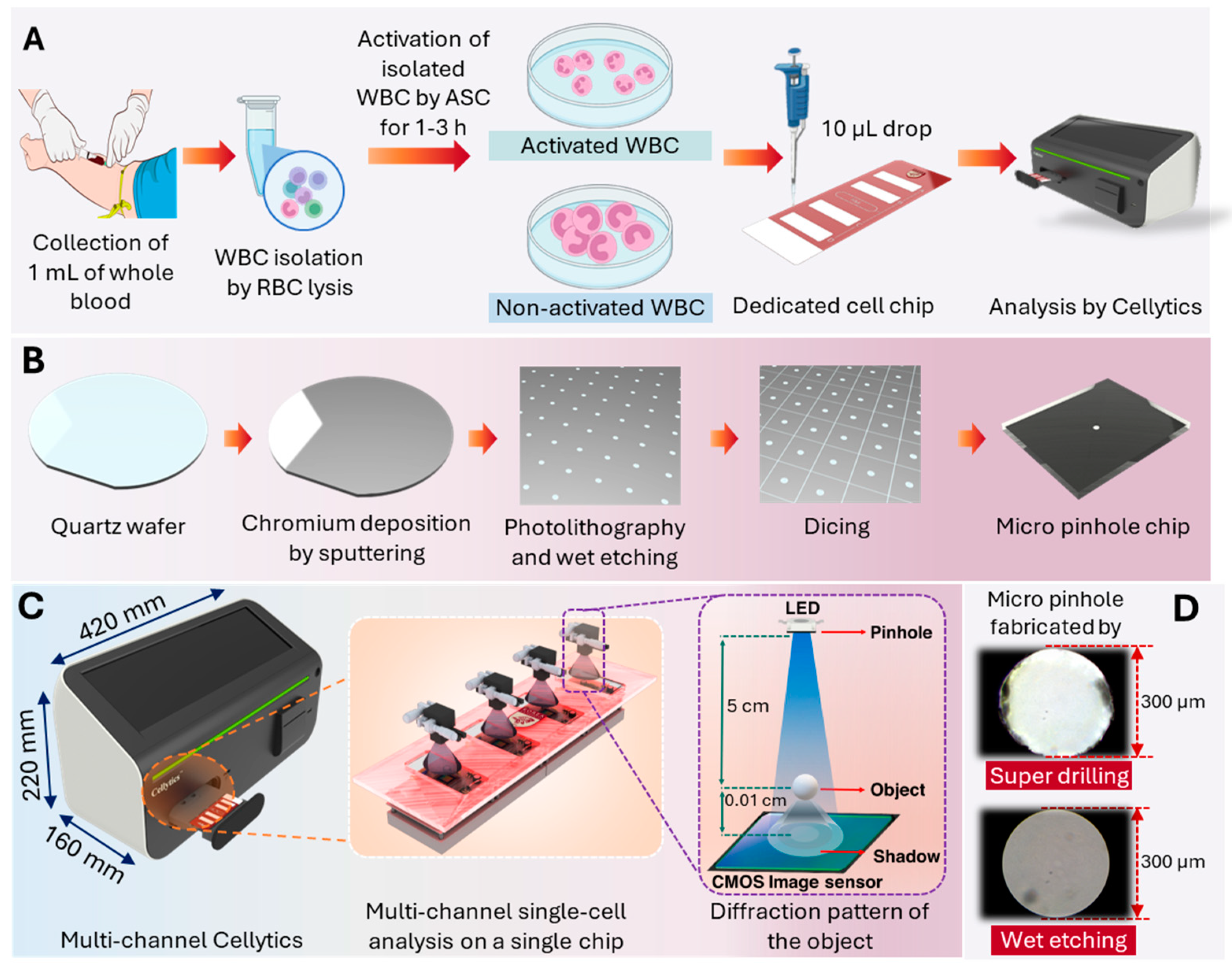 Biosensors 15 00143 g001