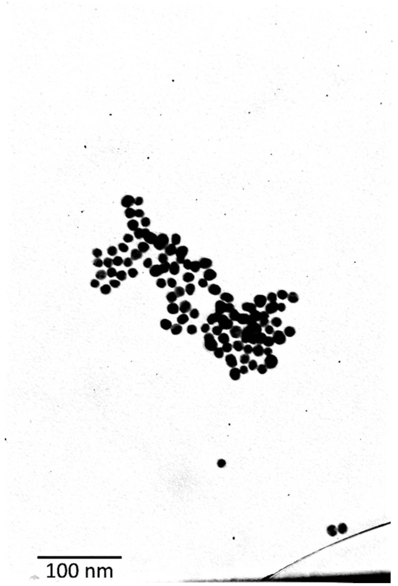 Biosensors 15 00144 g005