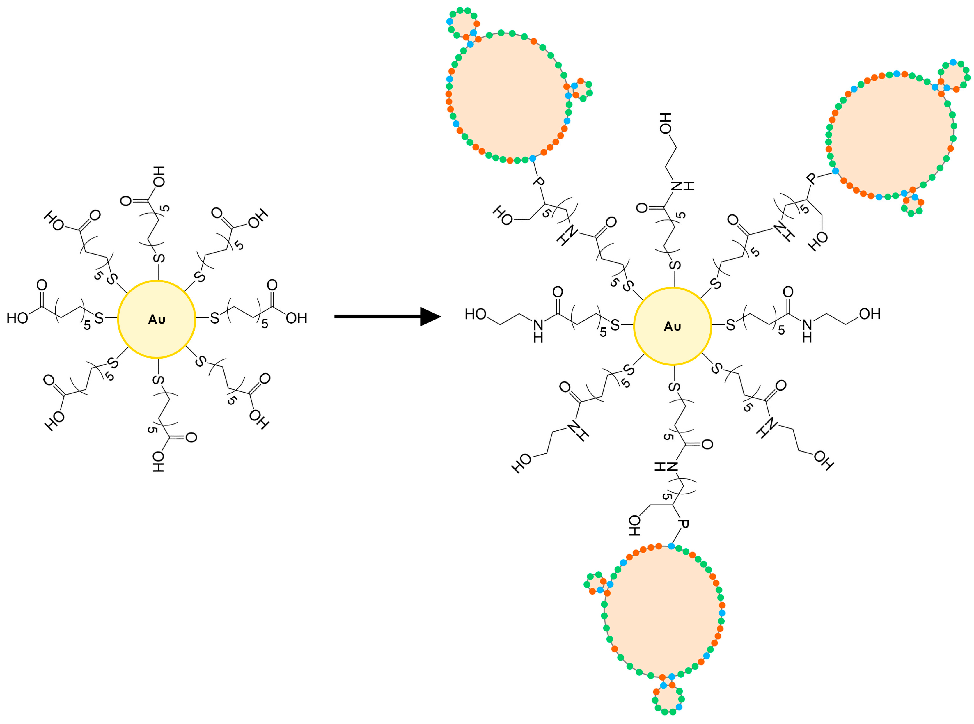 Biosensors 15 00146 g002
