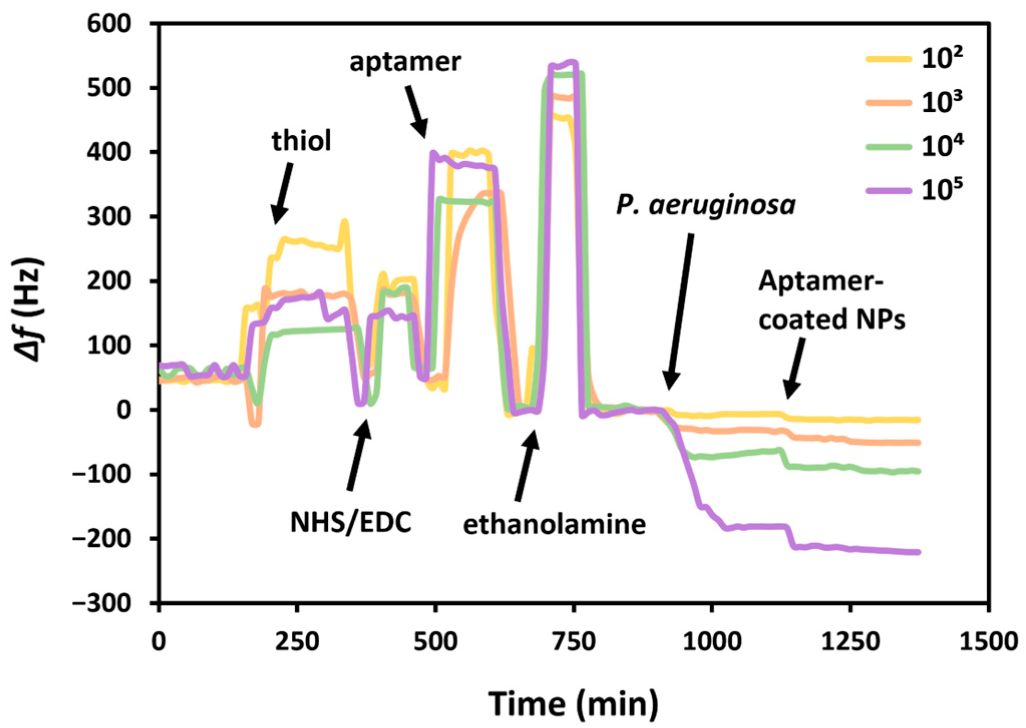 Biosensors 15 00146 g006