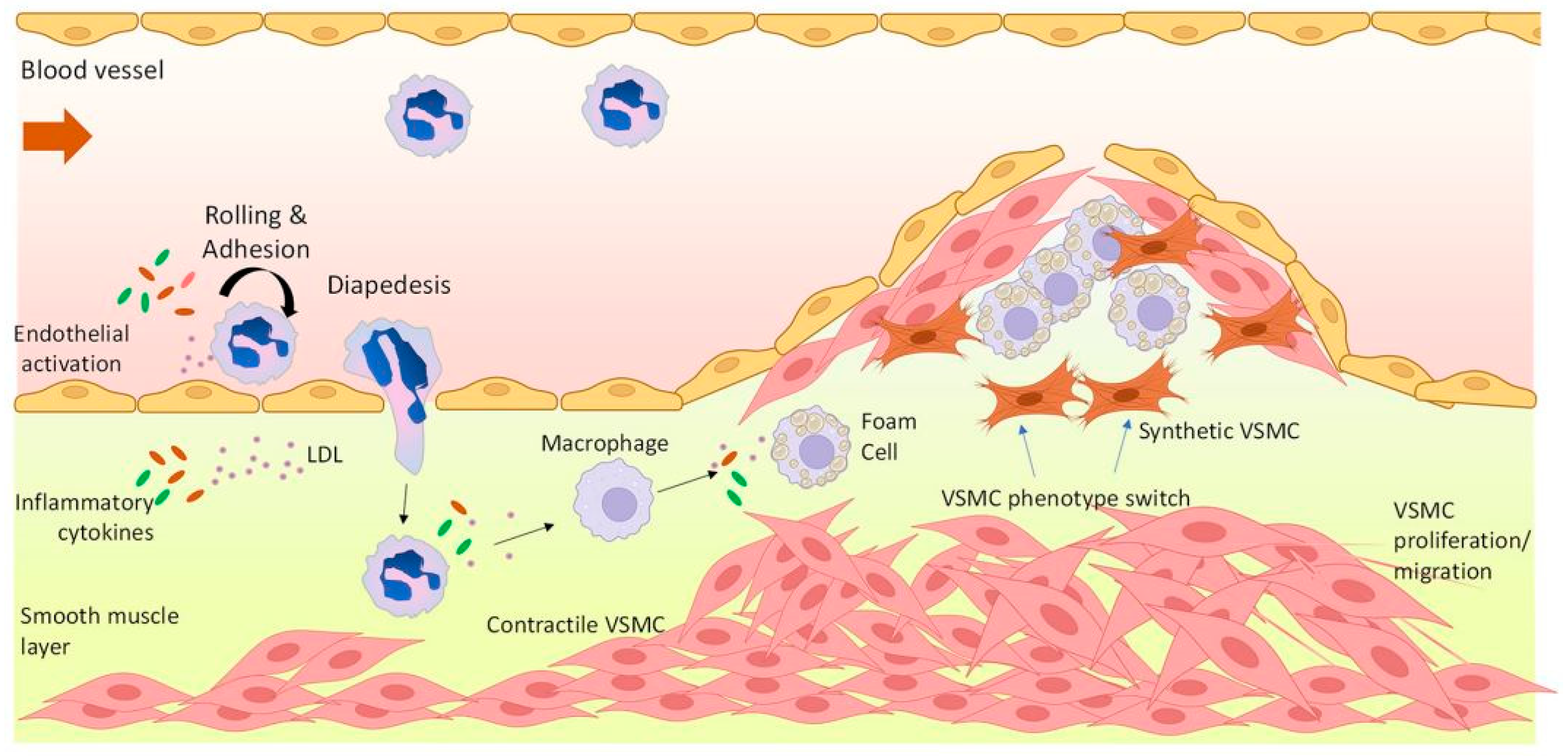 Biosensors 15 00147 g002