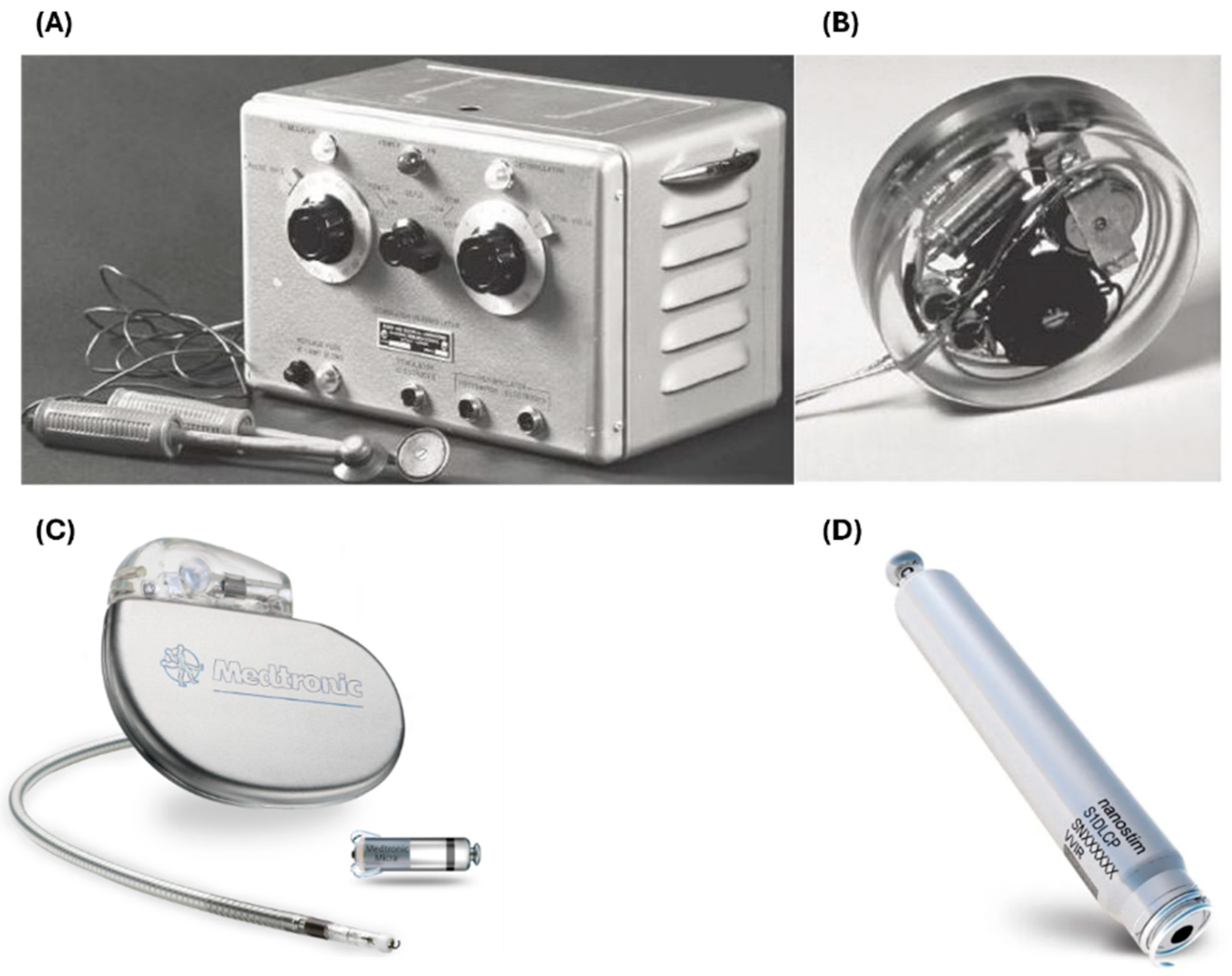 Biosensors 15 00147 g006