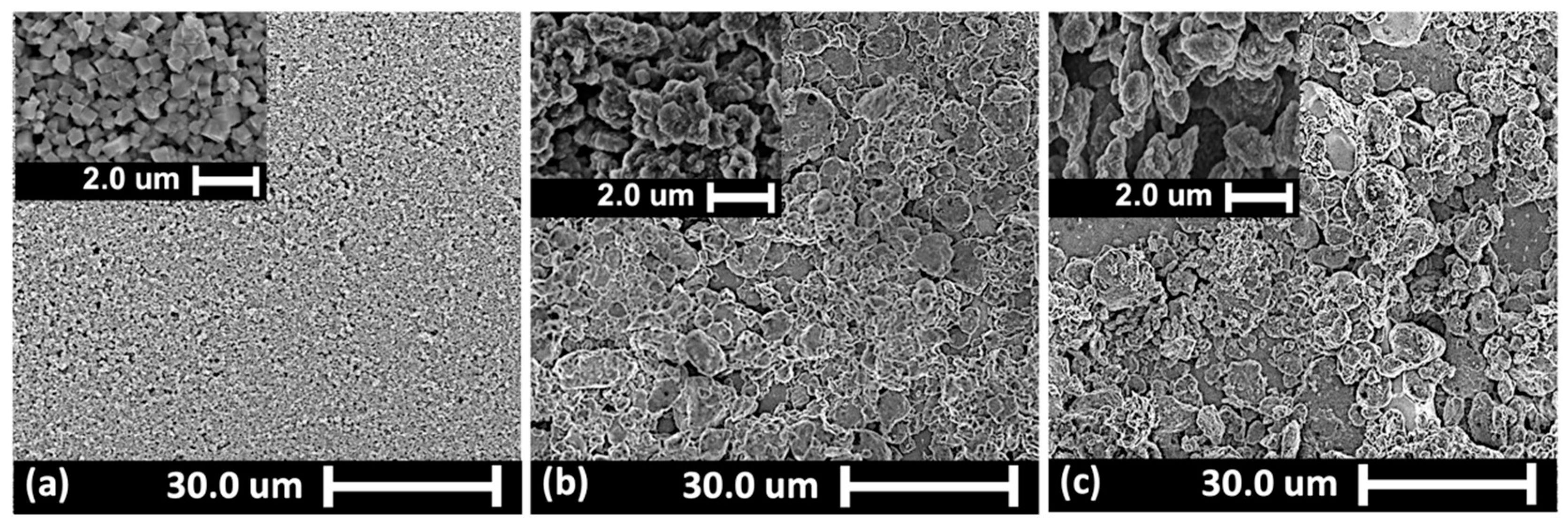 Biosensors 15 00152 g002
