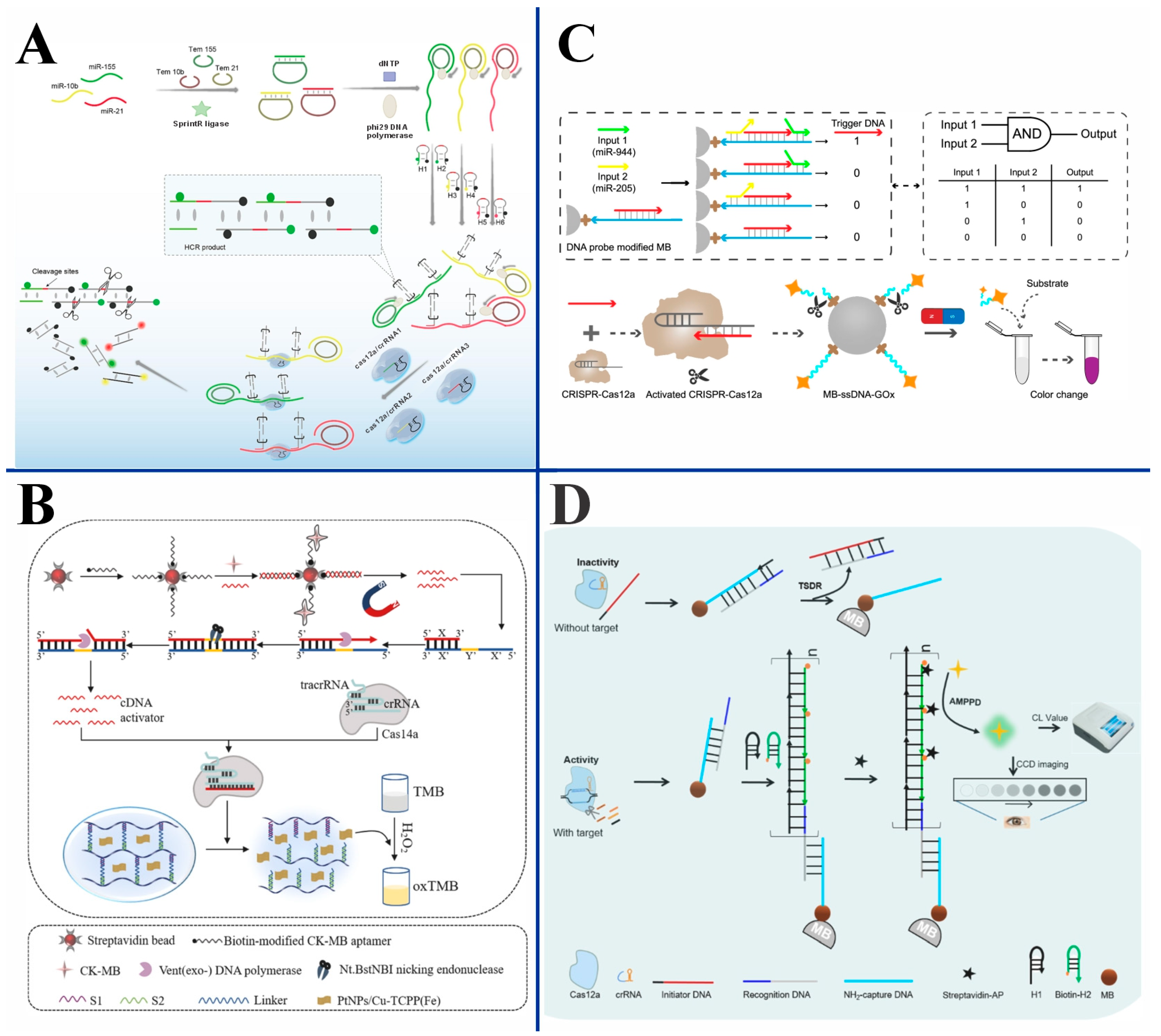 Biosensors 15 00155 g003