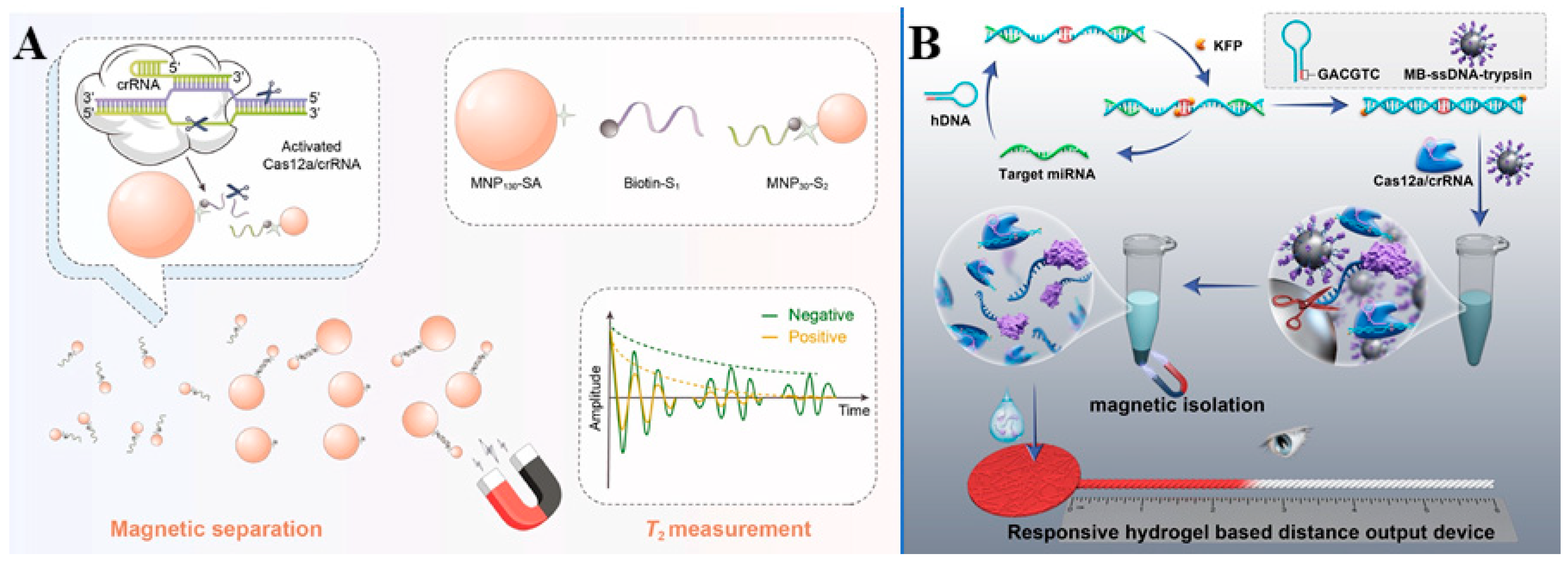 Biosensors 15 00155 g005