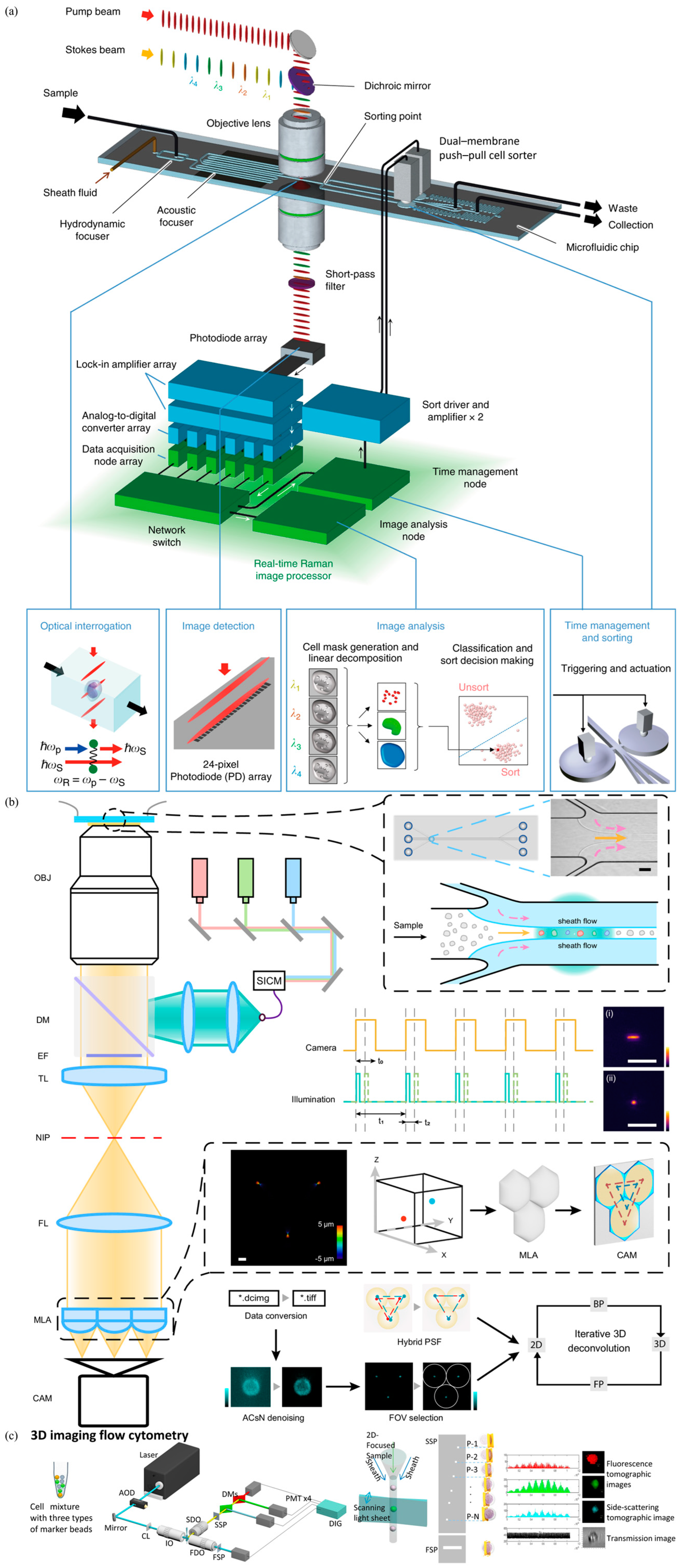 Biosensors 15 00156 g002