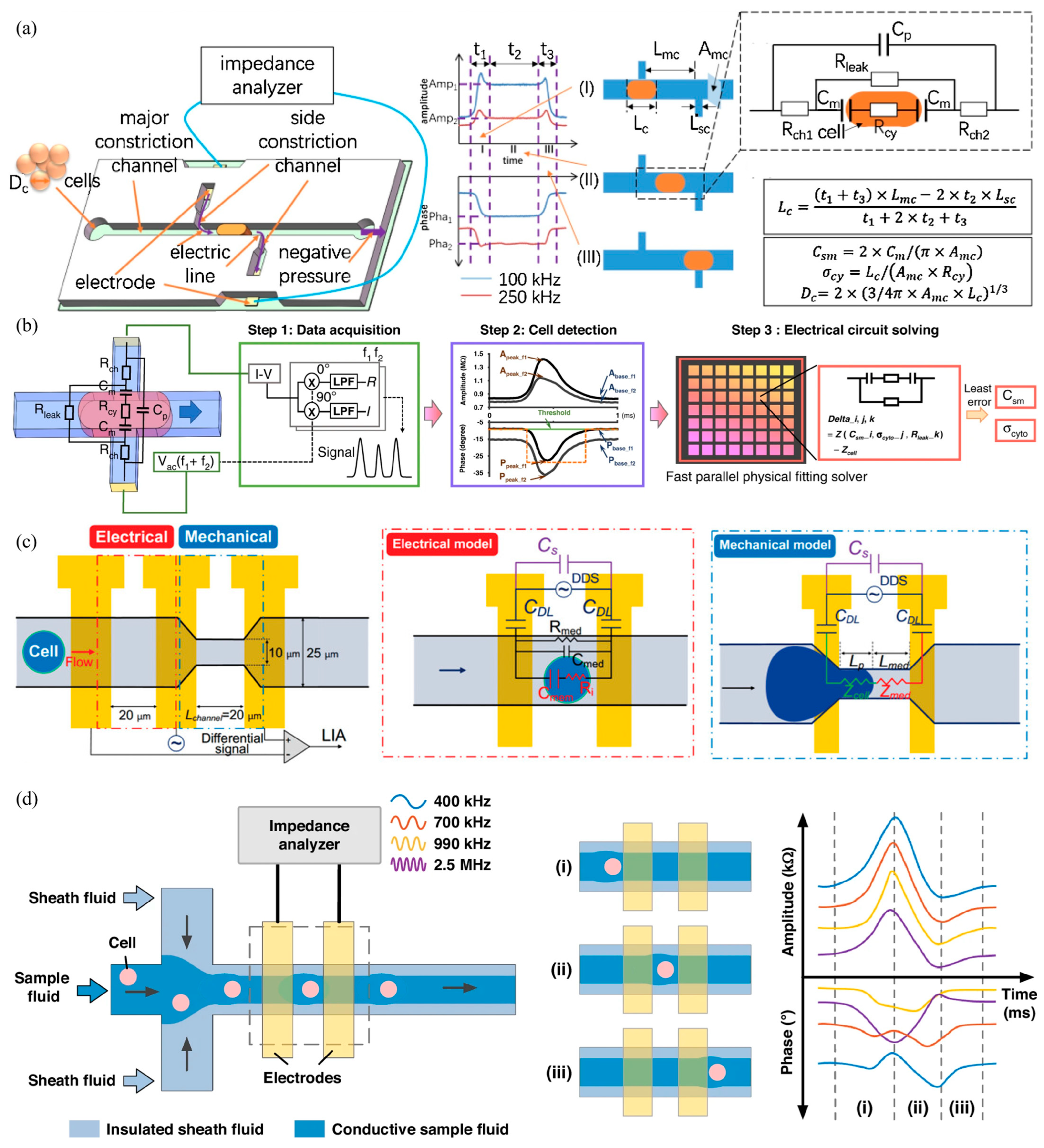 Biosensors 15 00156 g004
